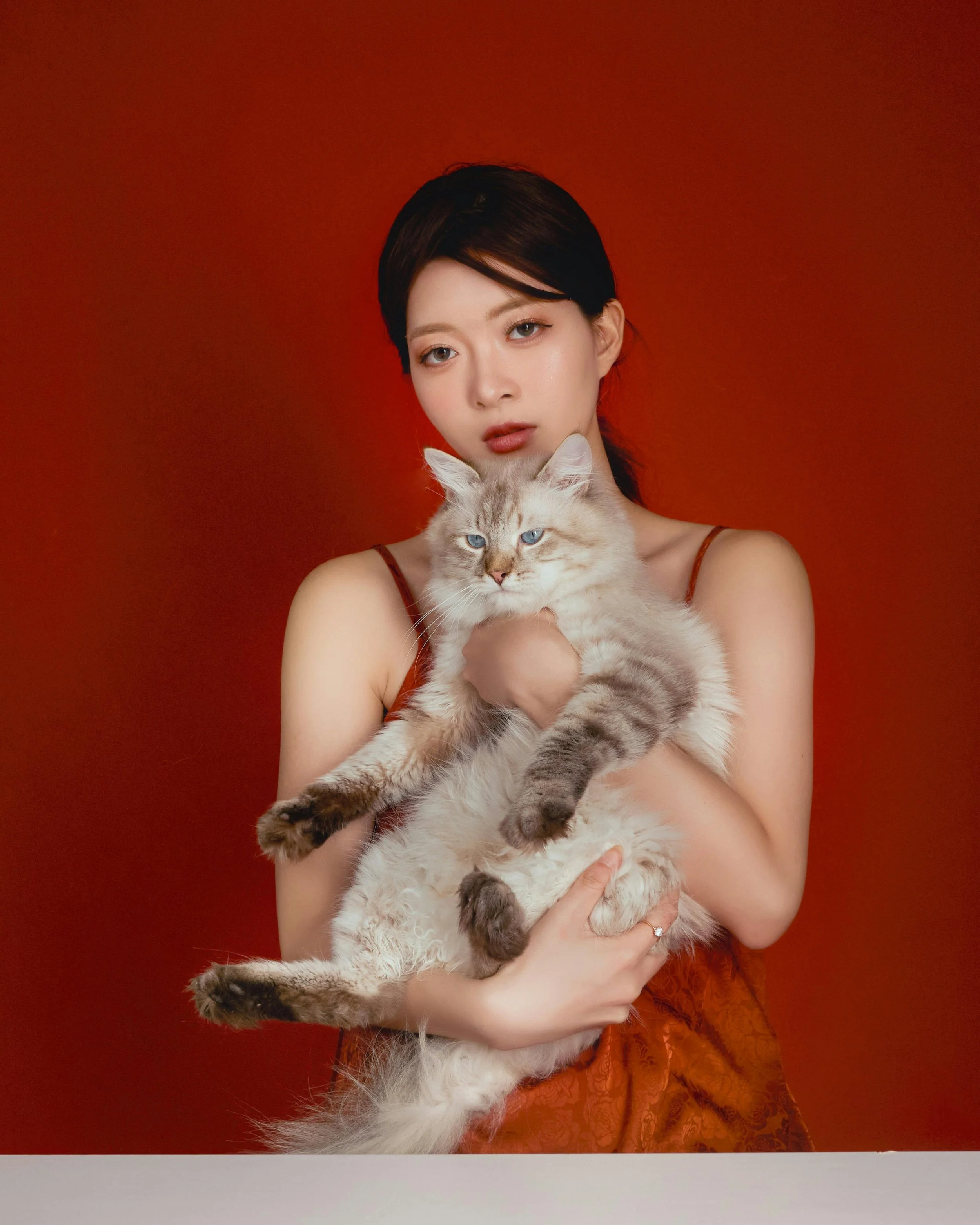 A woman with dark hair holding a fluffy Siamese cat with blue eyes against a red background.