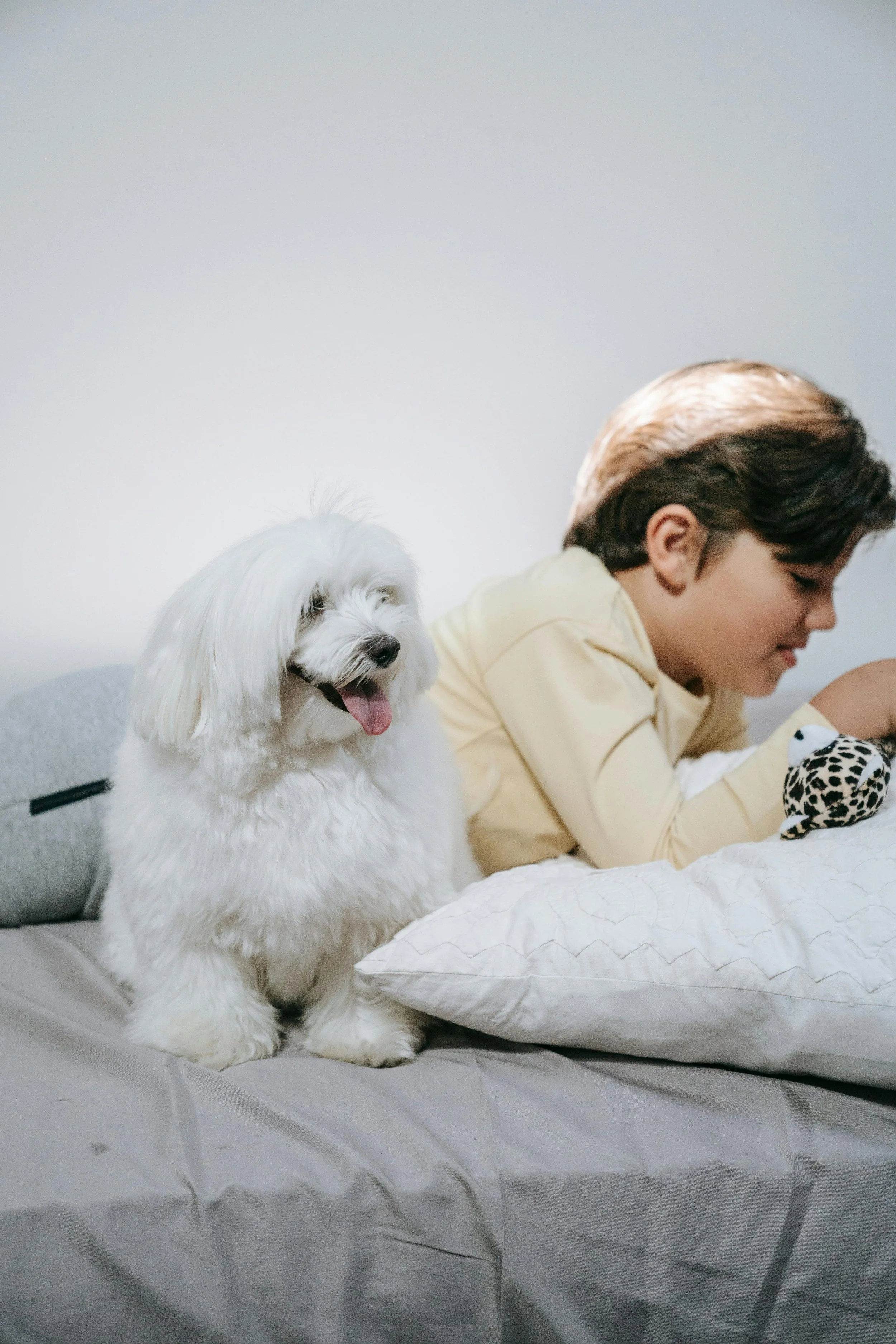 A boy lying on bed next to a small stuffed toy, with a white fluffy dog sitting on the bed beside him.