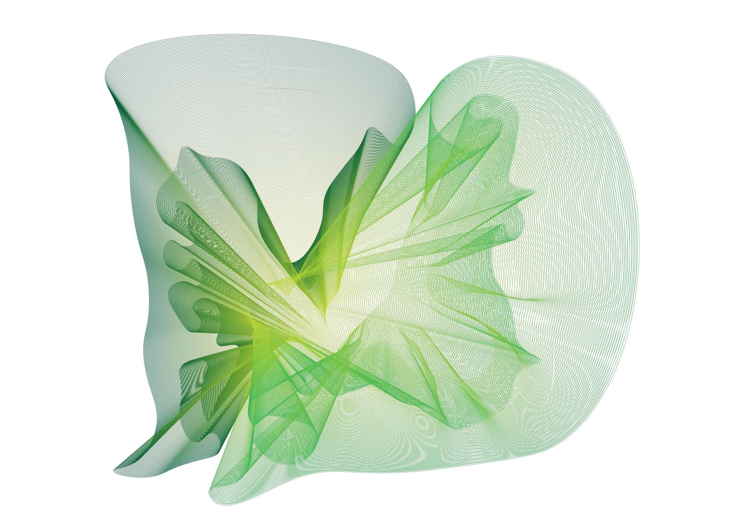 Shane Yee visual art