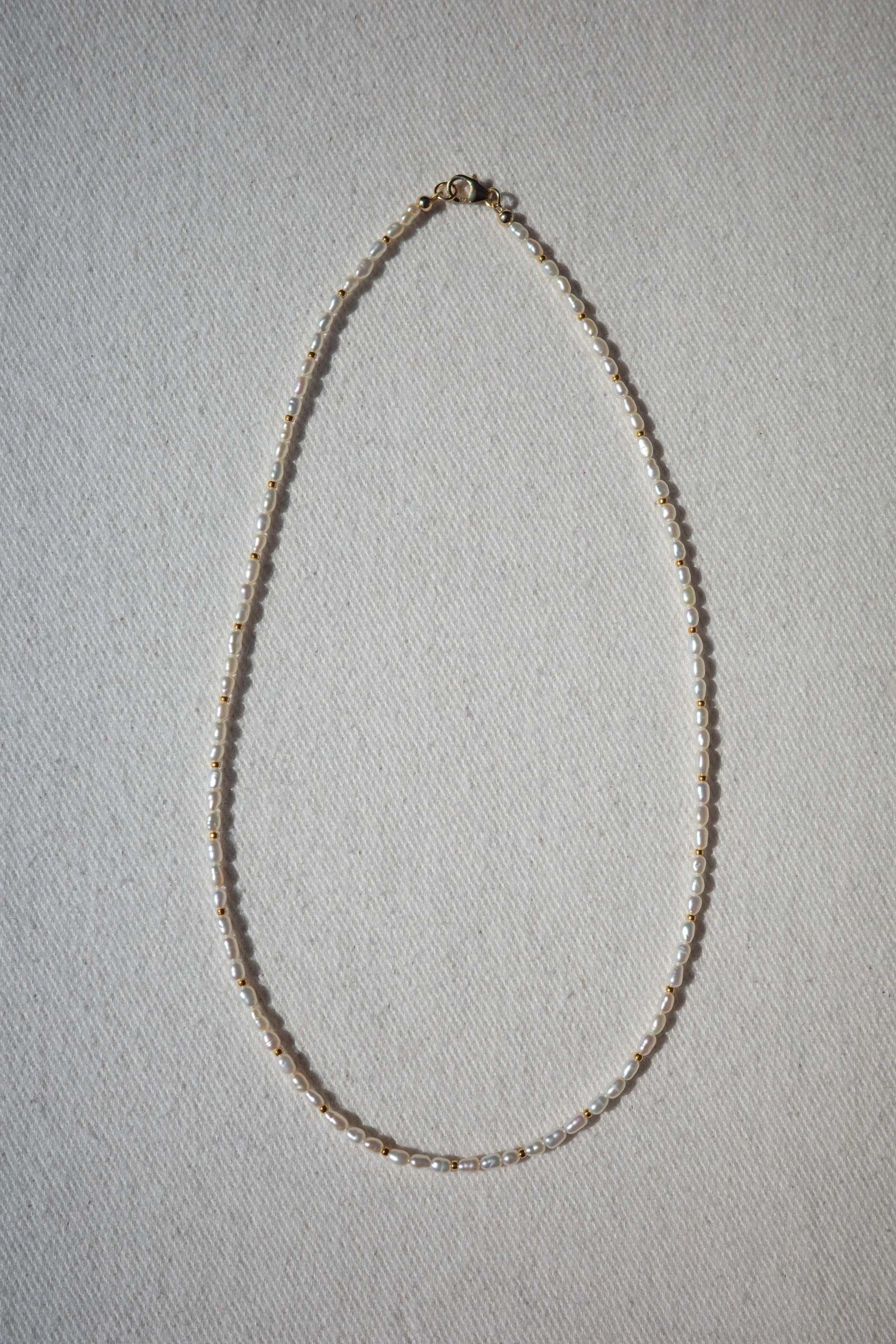 R0008633.jpg