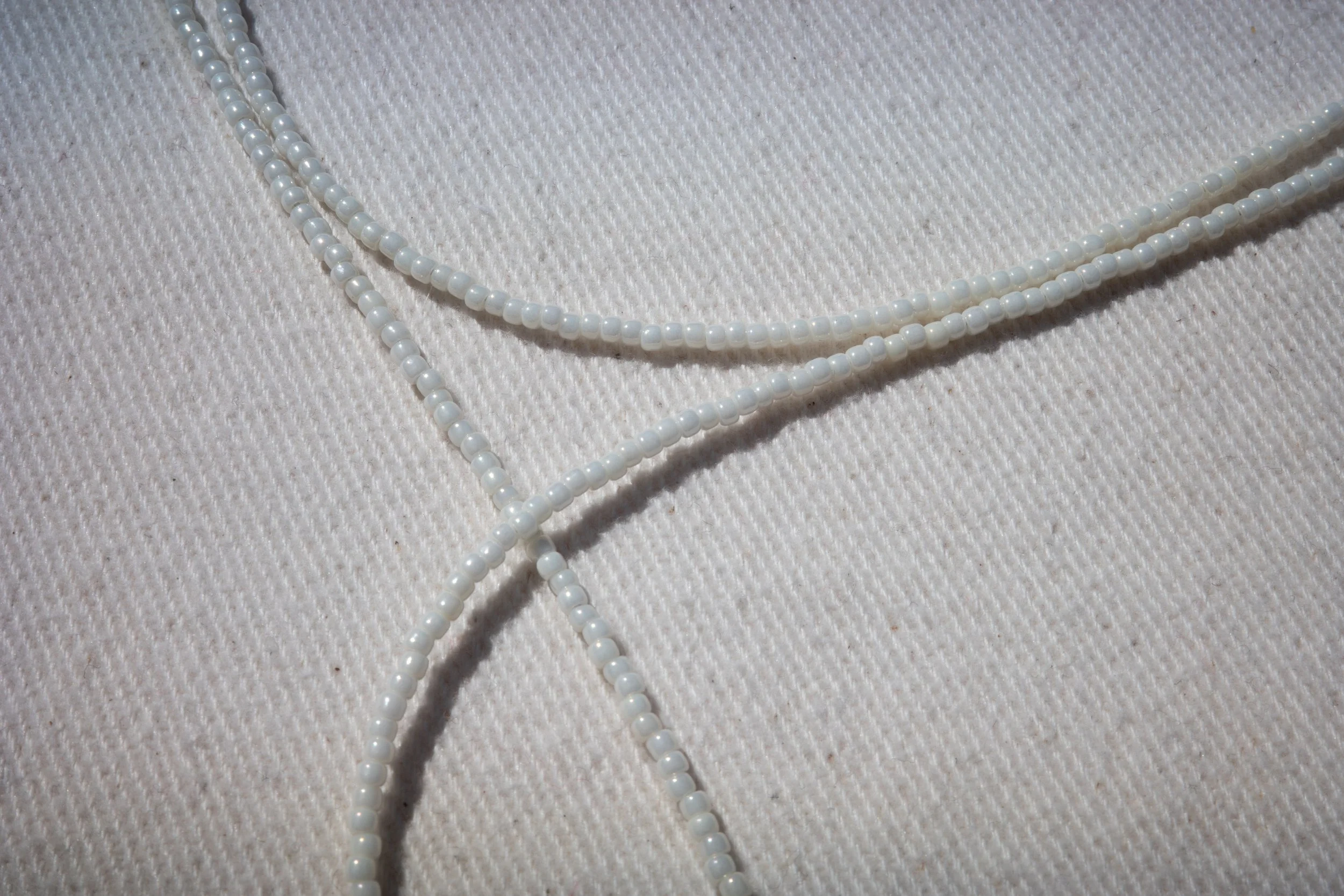 R0008902.jpg