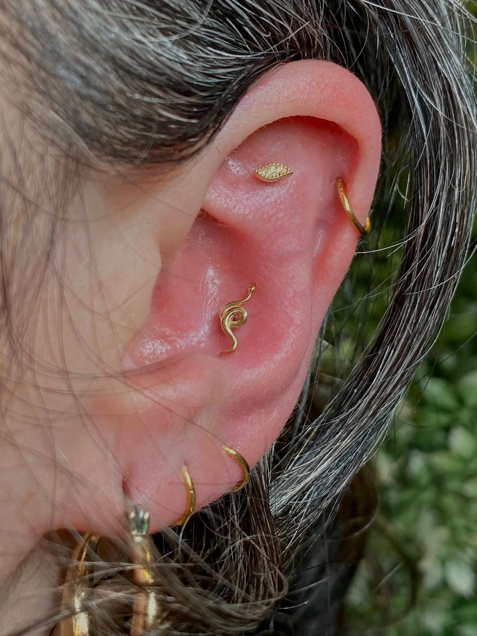ear piercing cheltenham
