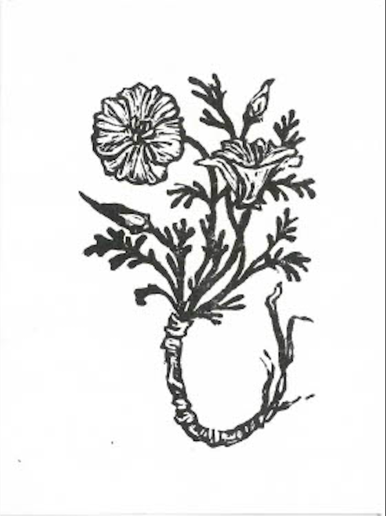 Handmade Print - California Poppy