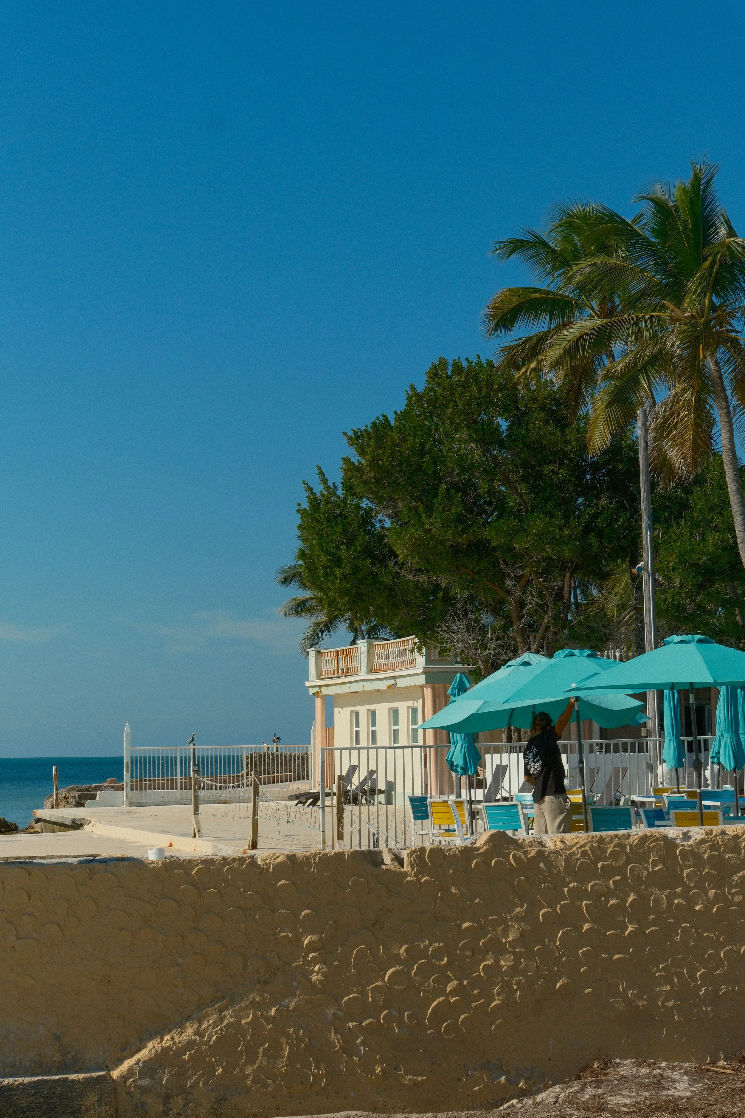 DSCF6942.jpg