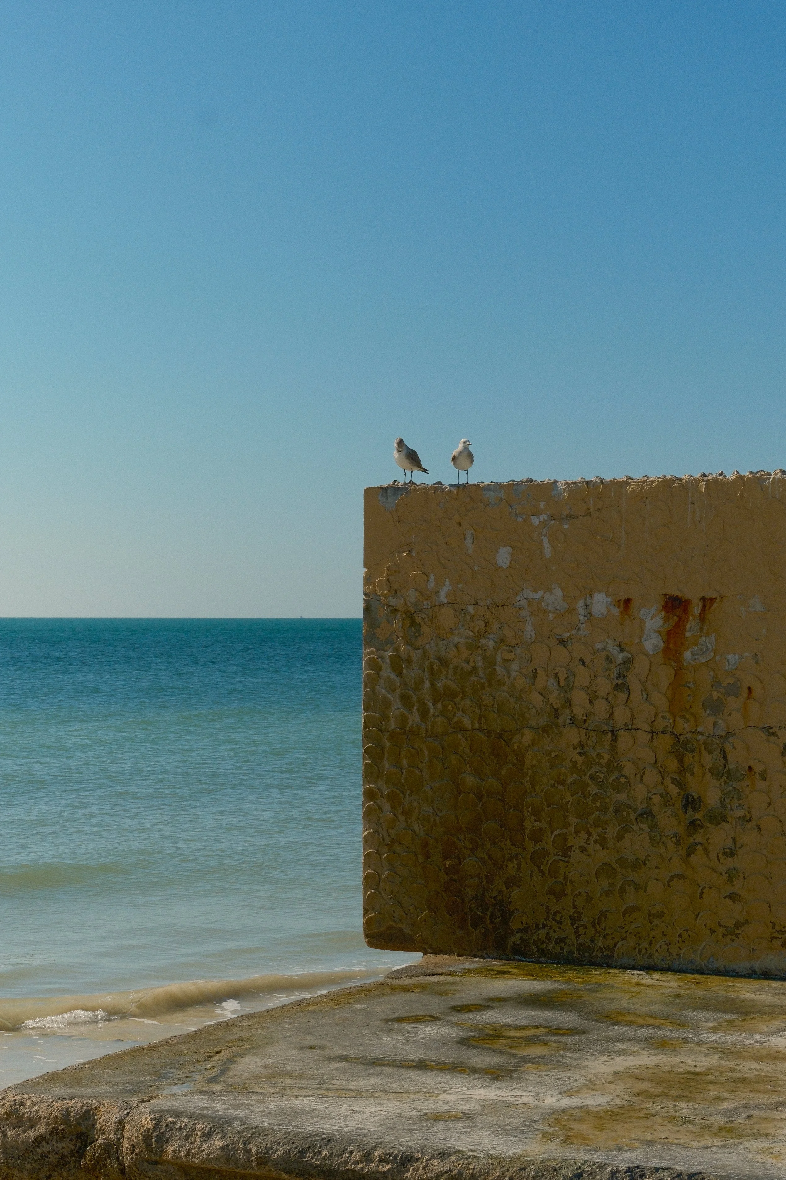 DSCF6938.jpg