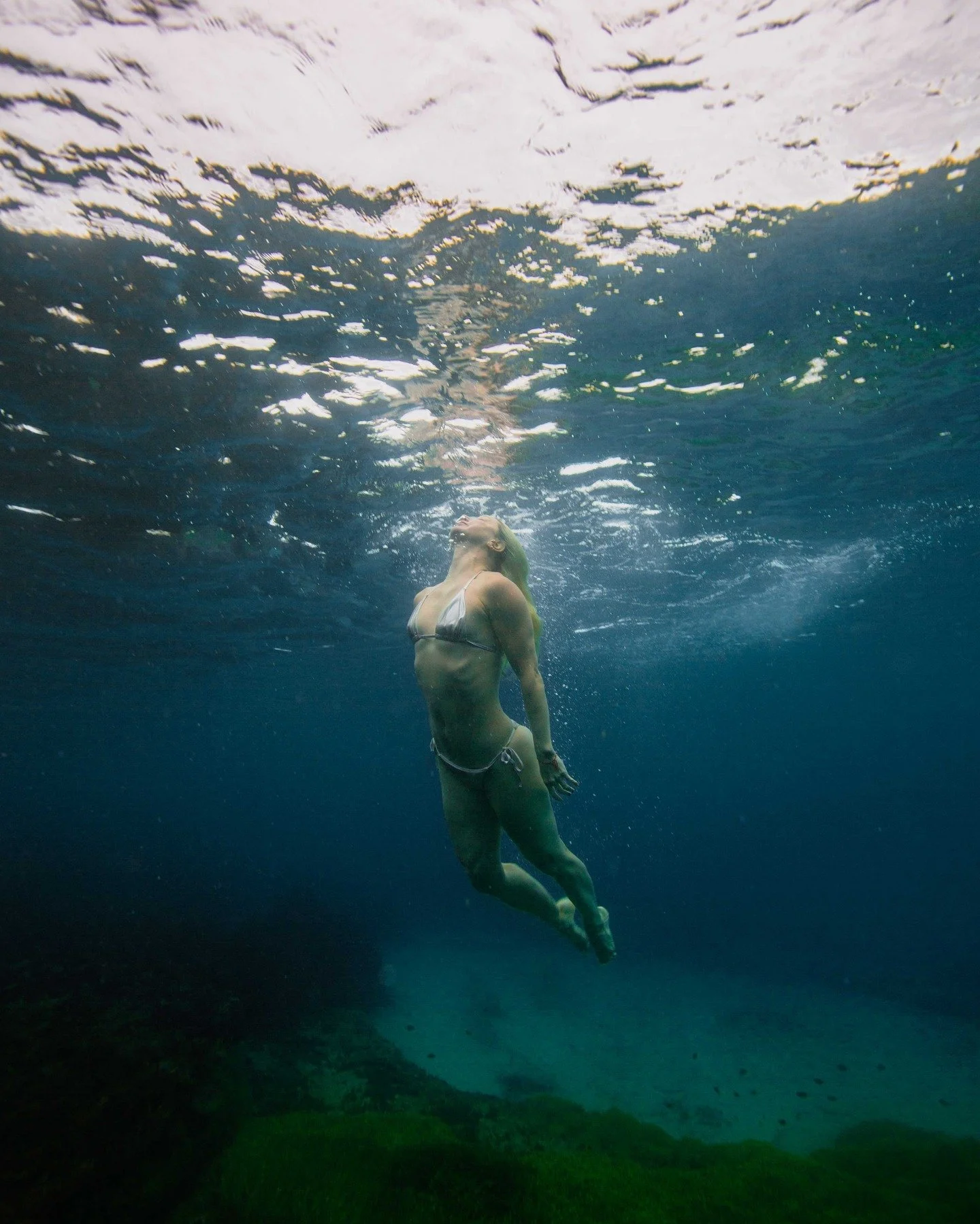 I just pressed the buttons. 

#travelgram #aquaticadigital 
#oceanview #underwaterphotography 
#earthpix #beautifuldestinations 
#discoverearth #thevisualscollective
#ourplanetdaily #moodygrams
#depthsofearth #bondibeach #bondi #waverleycouncil #natu
