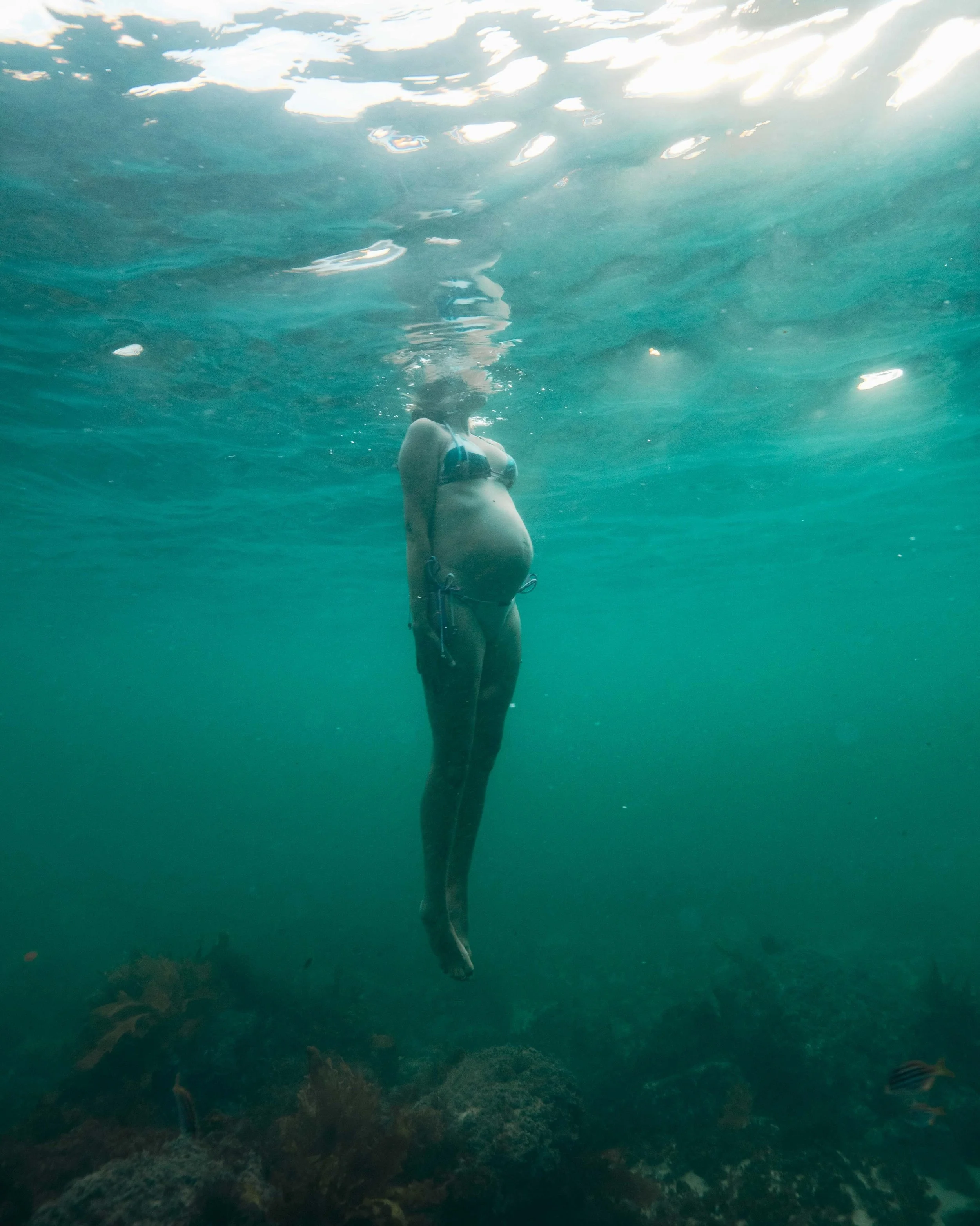 The ocean has a way of slowing everything down.

#underwaterphotography #maternityphotography #manlyphotographer #maternityshoot
