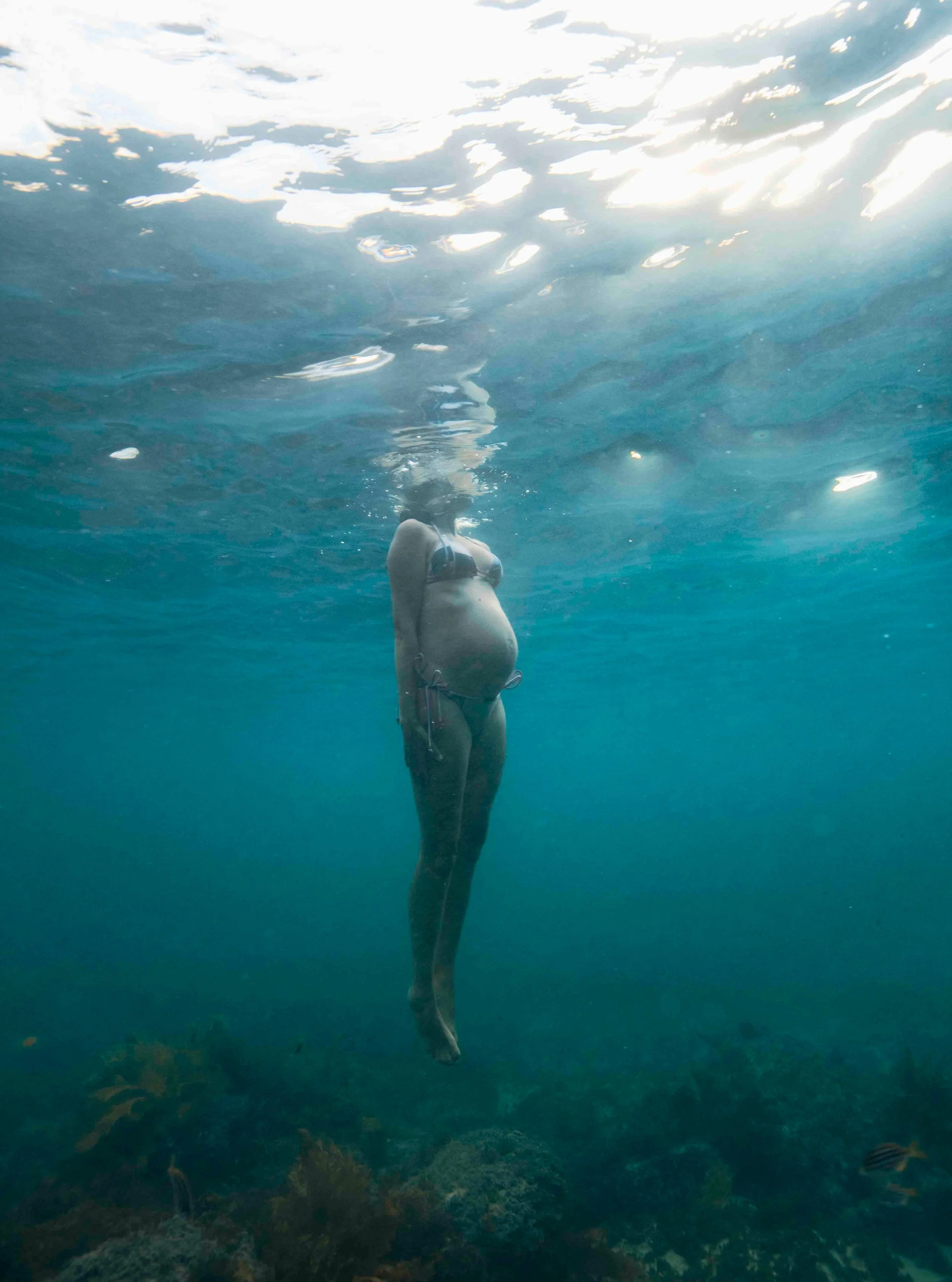 Before the world met you.

#UnderwaterPhotography
#UnderwaterPortraits
#OceanPhotography
#OceanLovers
#Freediving
#SydneyPhotographer
#SydneyPhotography
#ManlyBeach
#NorthernBeachesSydney
#UnderwaterPhotoshoot
#OceanMagic
#Freediver
#FreediveLife
#Wa