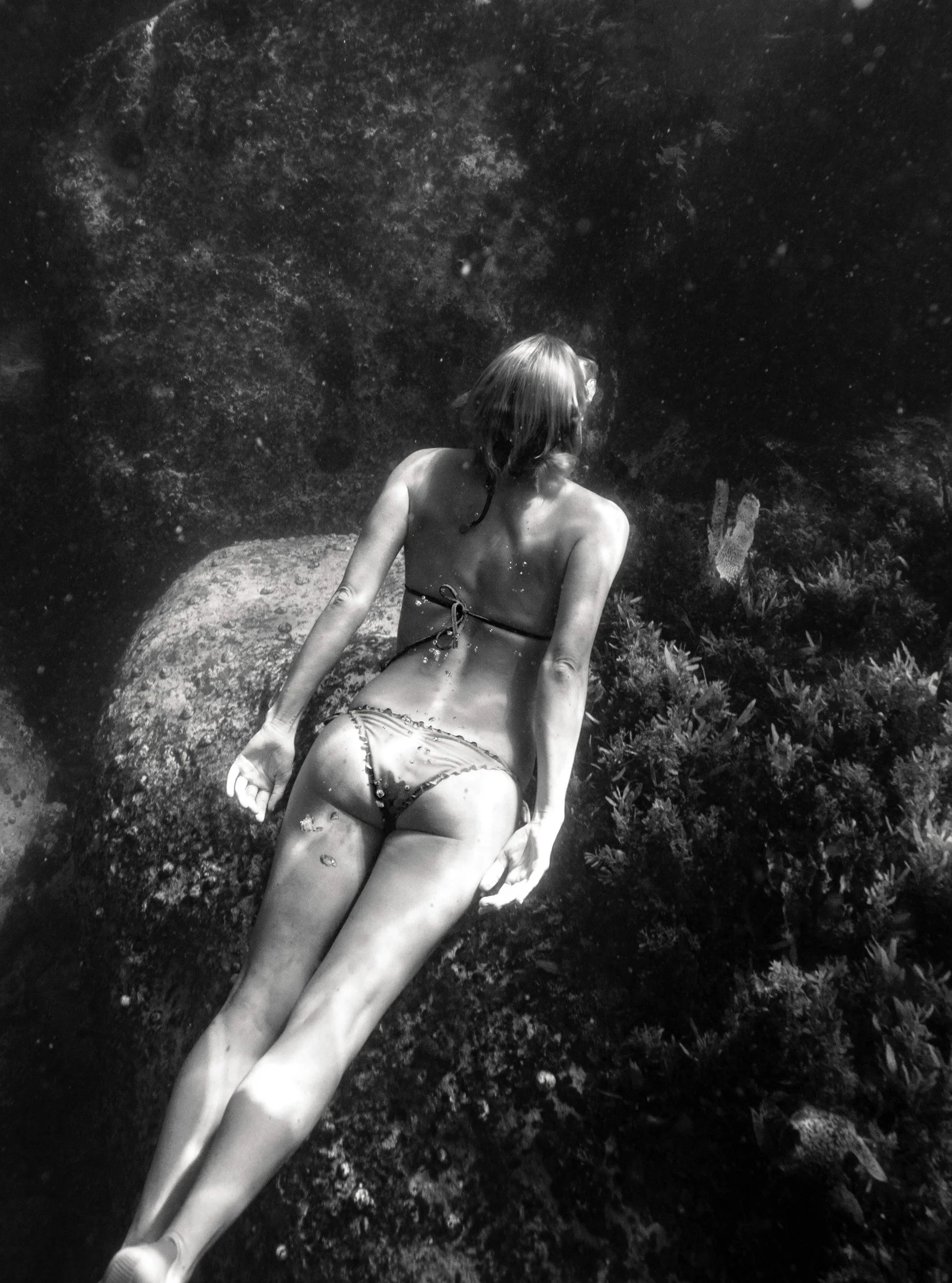 There's a whole other wild world beneath the surface.

#UnderwaterPhotography
#UnderwaterPortraits
#OceanPhotography
#OceanLovers
#Freediving
#SydneyPhotographer
#SydneyPhotography
#ManlyBeach
#NorthernBeachesSydney
#UnderwaterPhotoshoot
#OceanMagic
