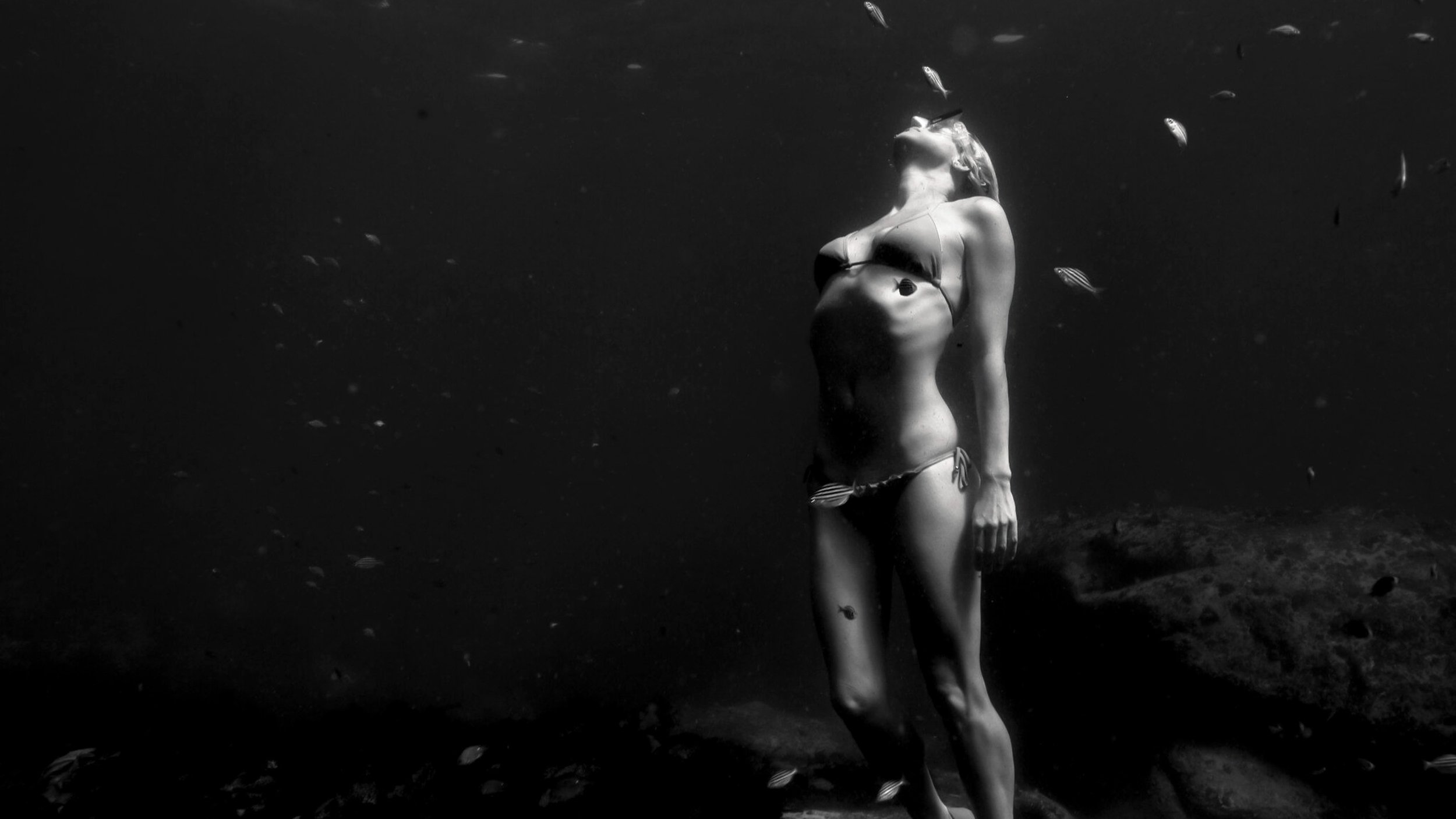 Some people are ocean people.

#SydneyPhotographer
#SydneyPhotography
#ManlyBeach
#NorthernBeachesSydney
#UnderwaterPhotoshoot
#OceanMagic
#Freediver
#FreediveLife
#WaterWoman
#OceanPeople 
#MaternityPhotography
#MaternityPhotoshoot
#PregnancyPhotogr