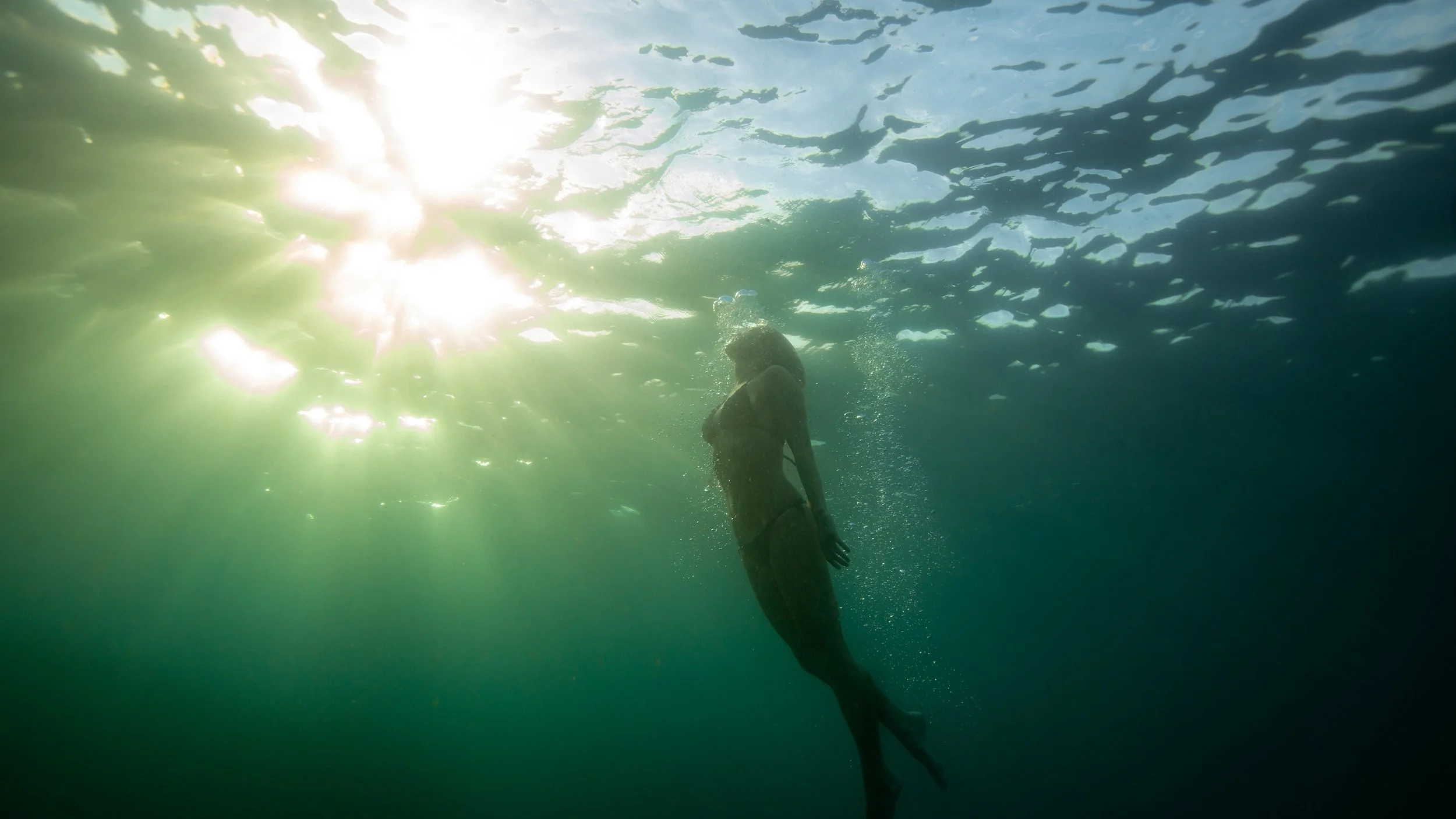 Bondi mornings

#bondi #underwaterphoto #underwaterportrait #sydney