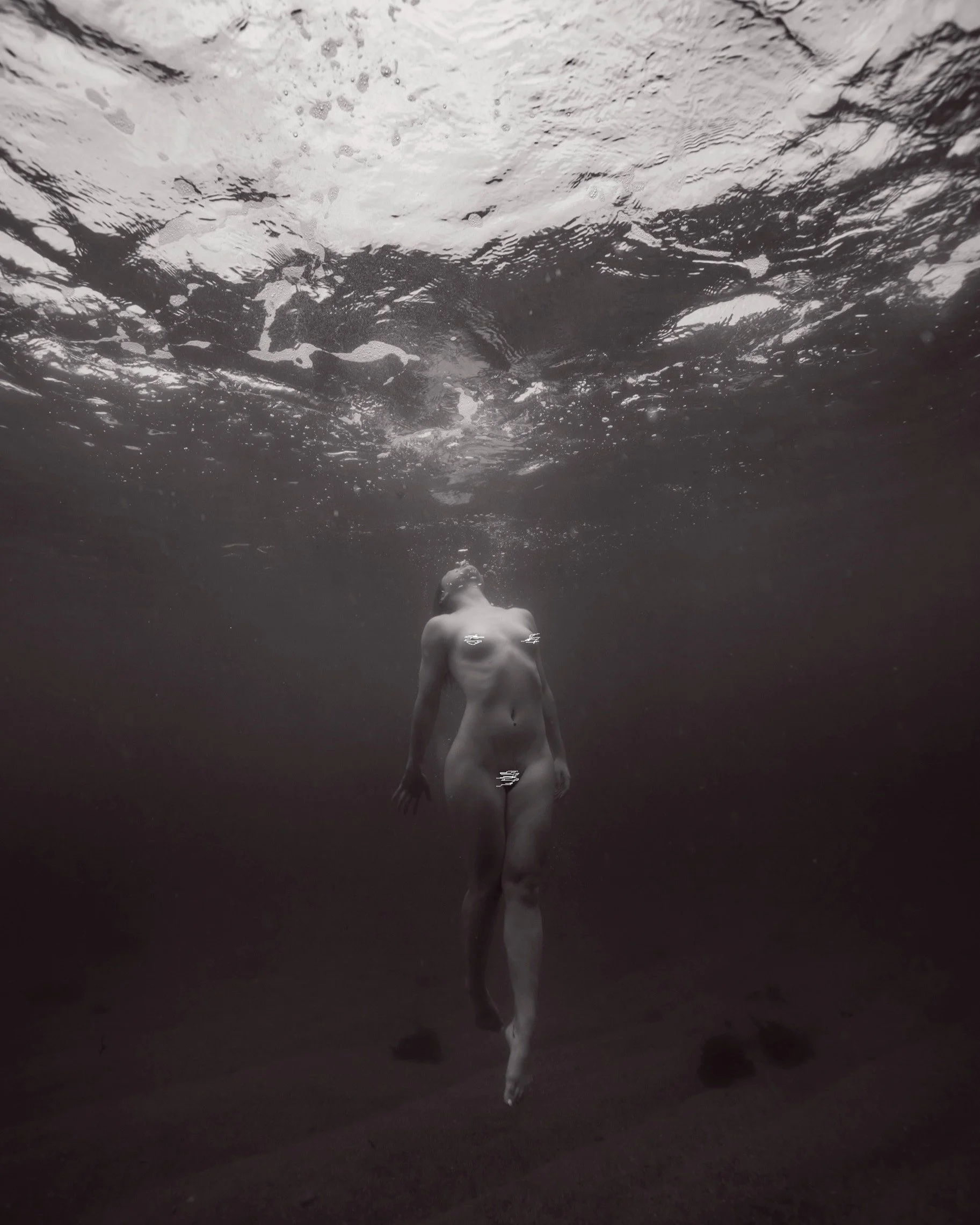 Water Human Light

#portrait #underwaterphotography #manlybeach