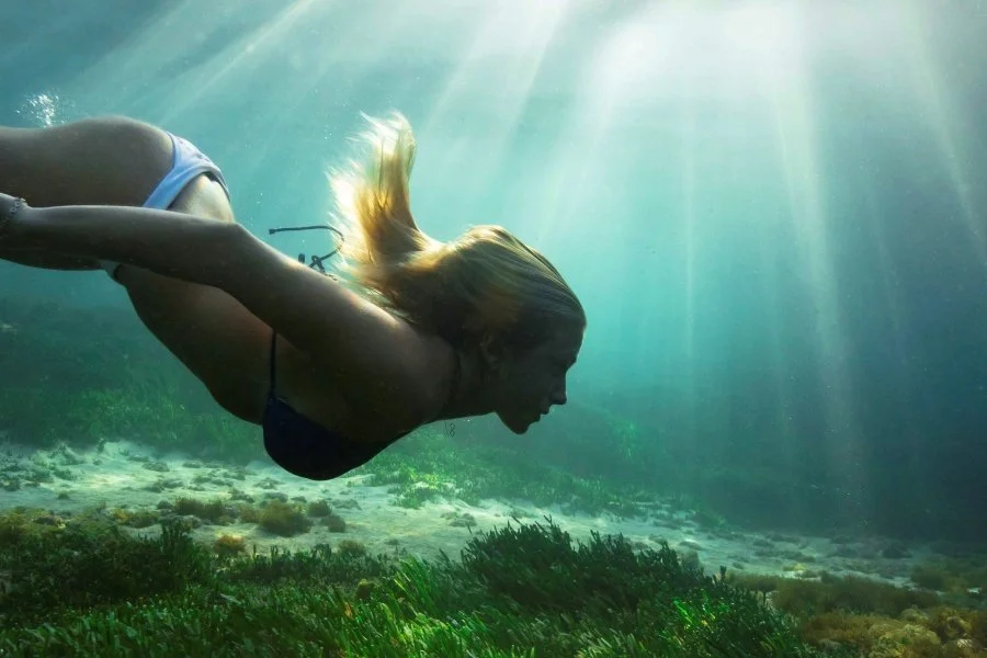 leo clifford underwater photography sydney 29.jpg