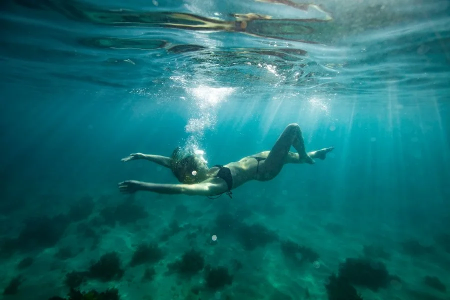 leo clifford underwater photography sydney 16.jpg