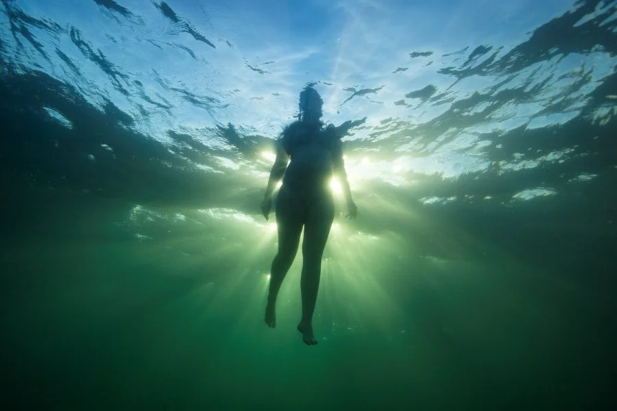 leo clifford underwater photography sydney 30.jpg
