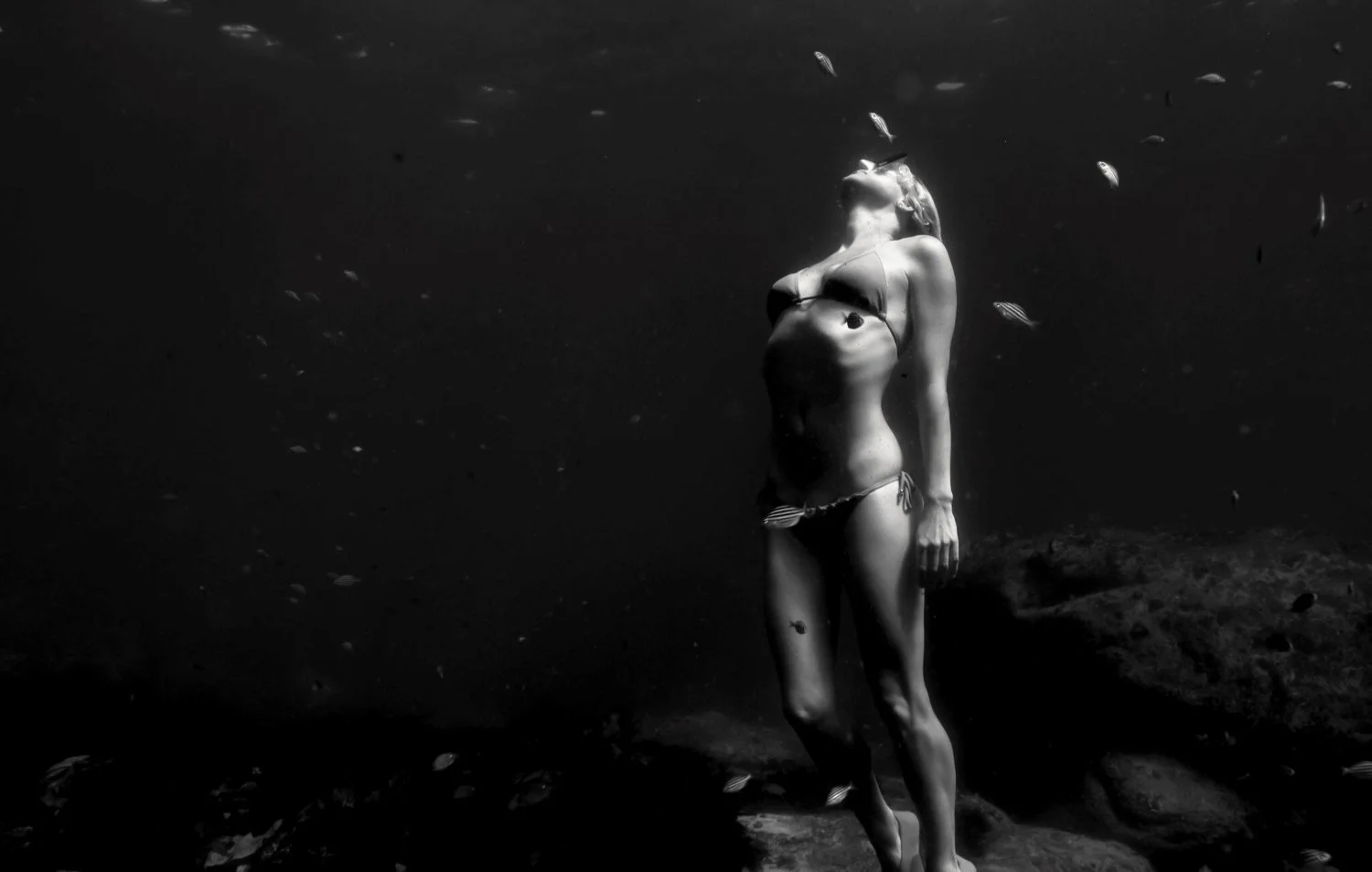 leo clifford underwater photography sydney 02.jpg