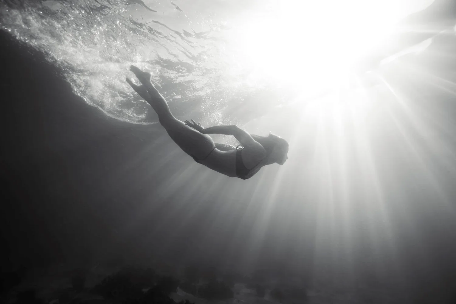 leo clifford underwater photography sydney 17.jpg