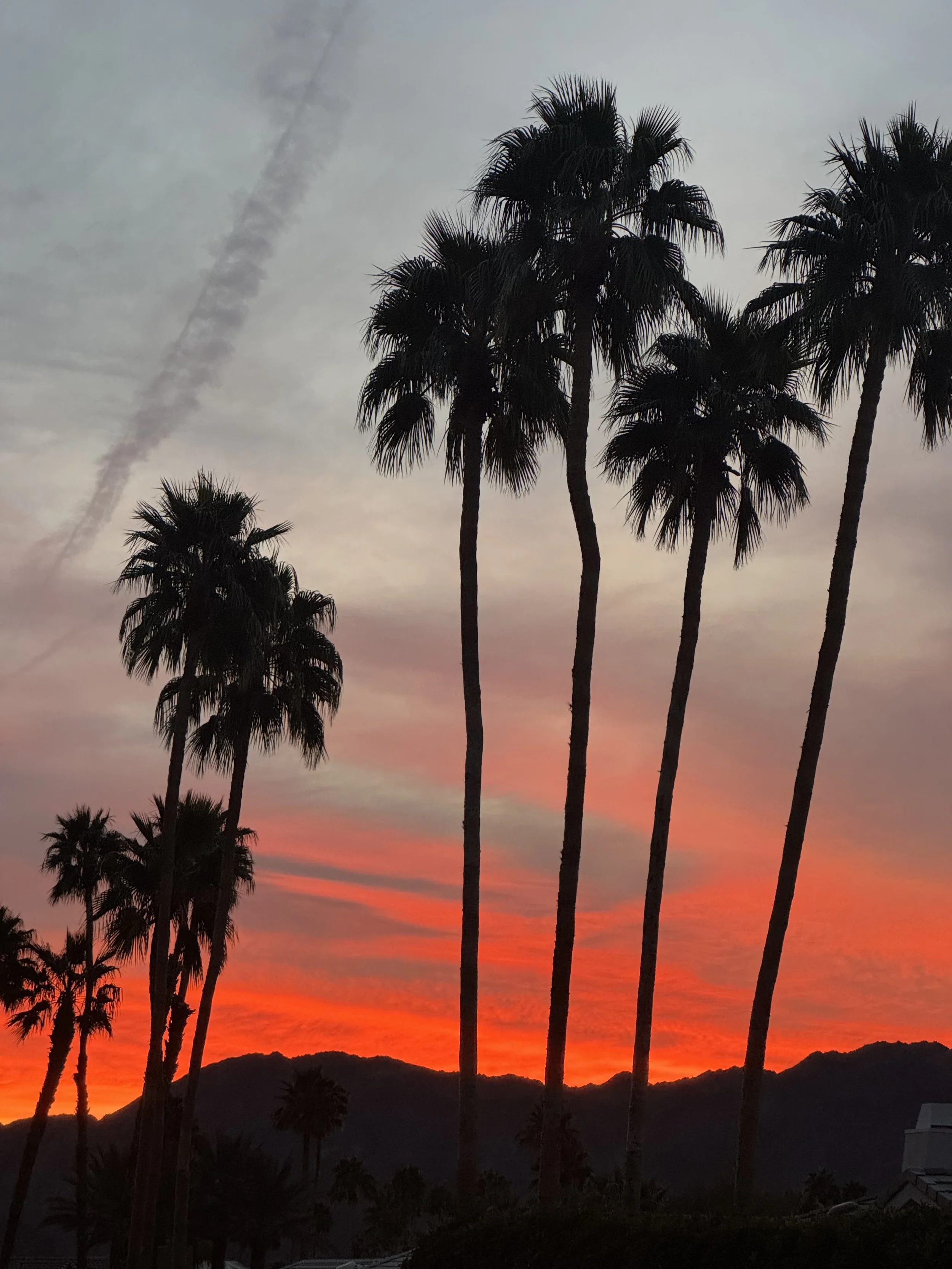 Nourish + Nurture Series: From Depleted to Deeply Nourished—A Grounded Joy Experience