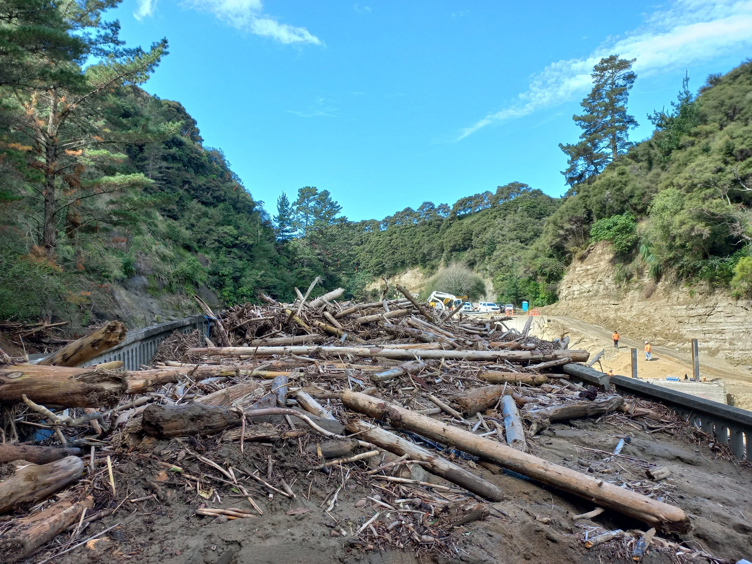 Debris from a landslide blocks part of a mountain road with fallen logs and branches, with construction workers and vehicles in the background.