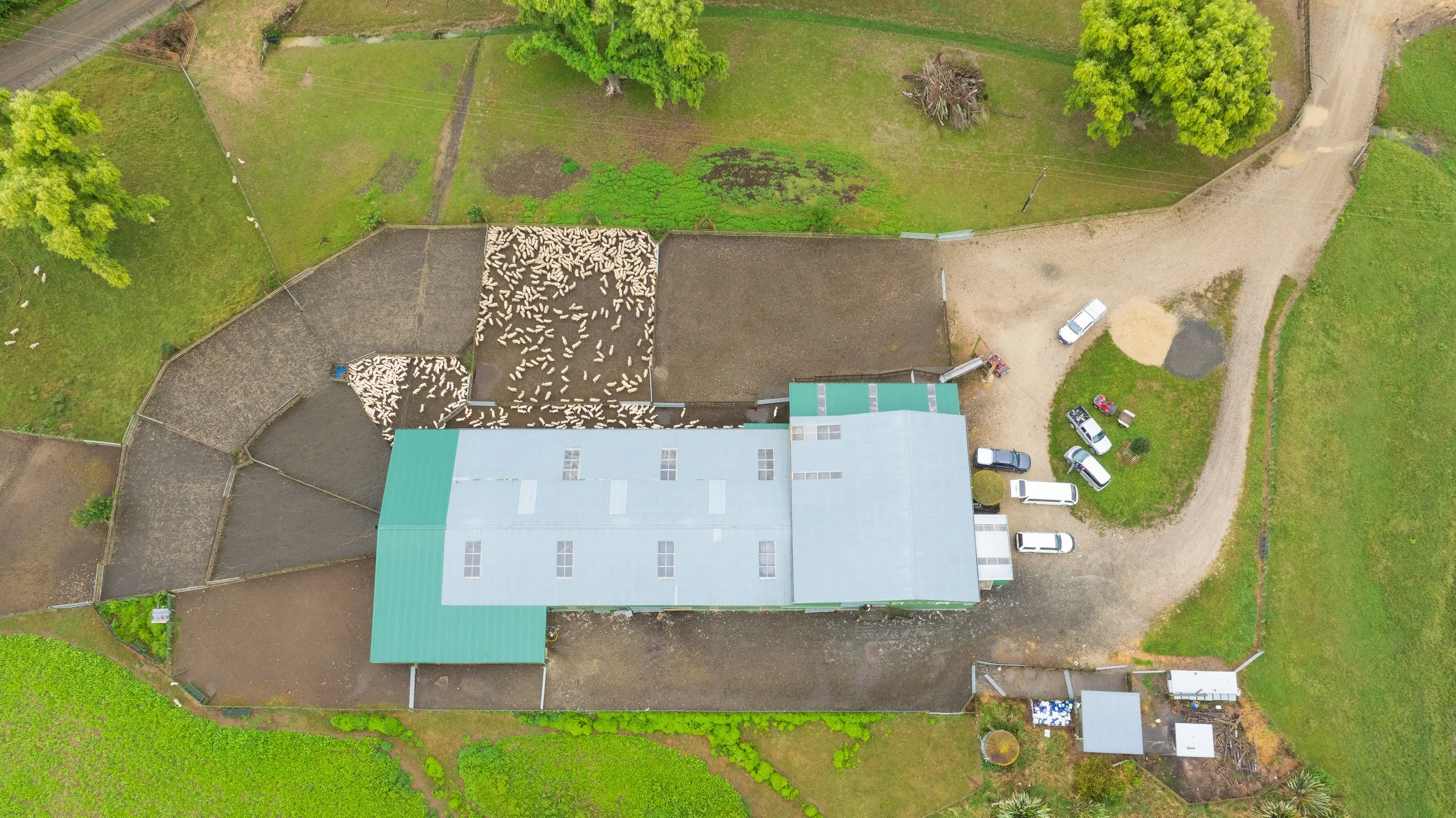 Aerial view of a farm with a large building that has a green roof, multiple parked vehicles, and fenced animal pens, surrounded by green fields and trees.