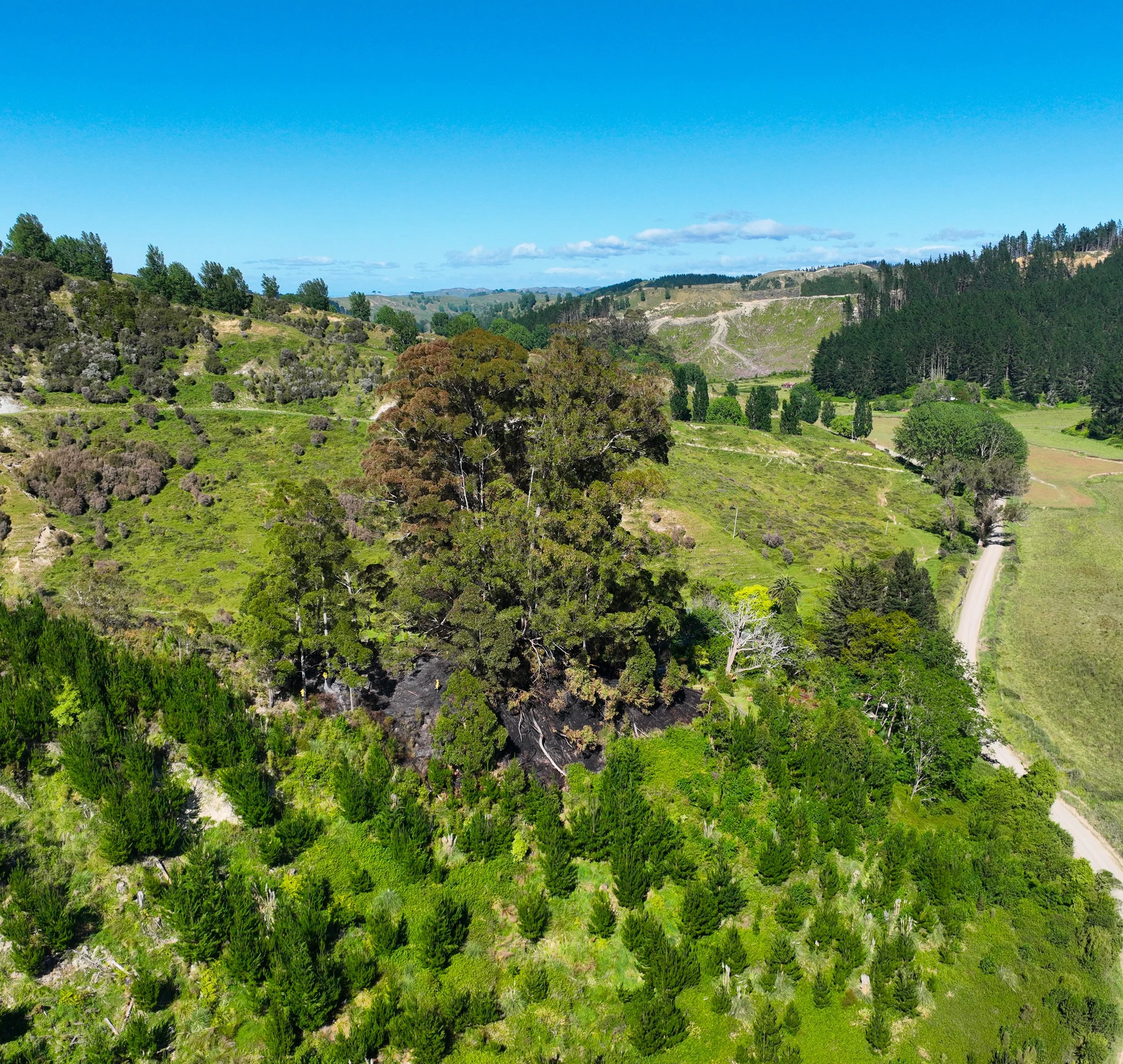 Aerial view of a green hilly landscape with trees, shrubs, a winding dirt road, and distant forested hills under a bright blue sky with some clouds.