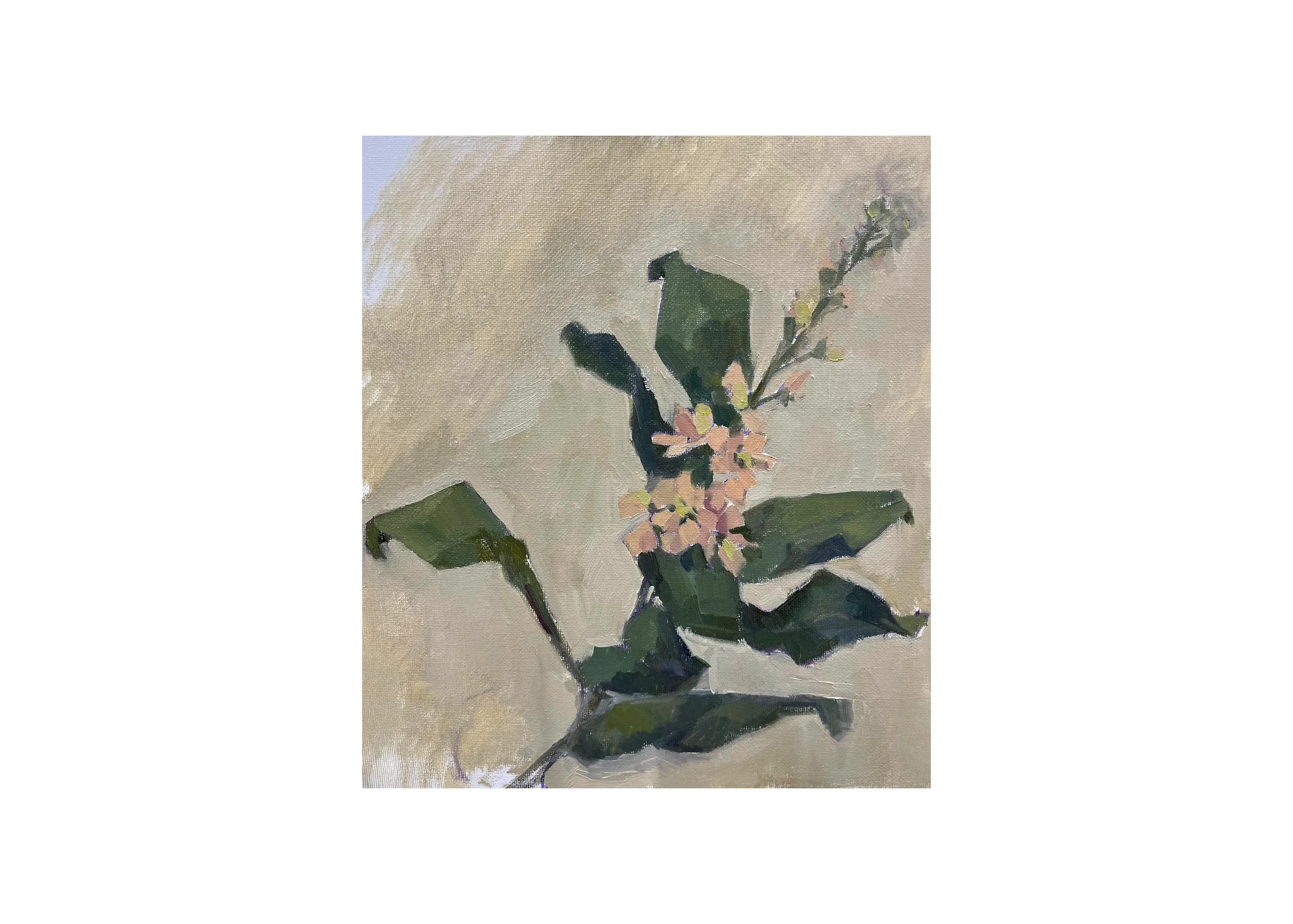 Leaning Stock, Apricot, 2026, 12 x 10 inches