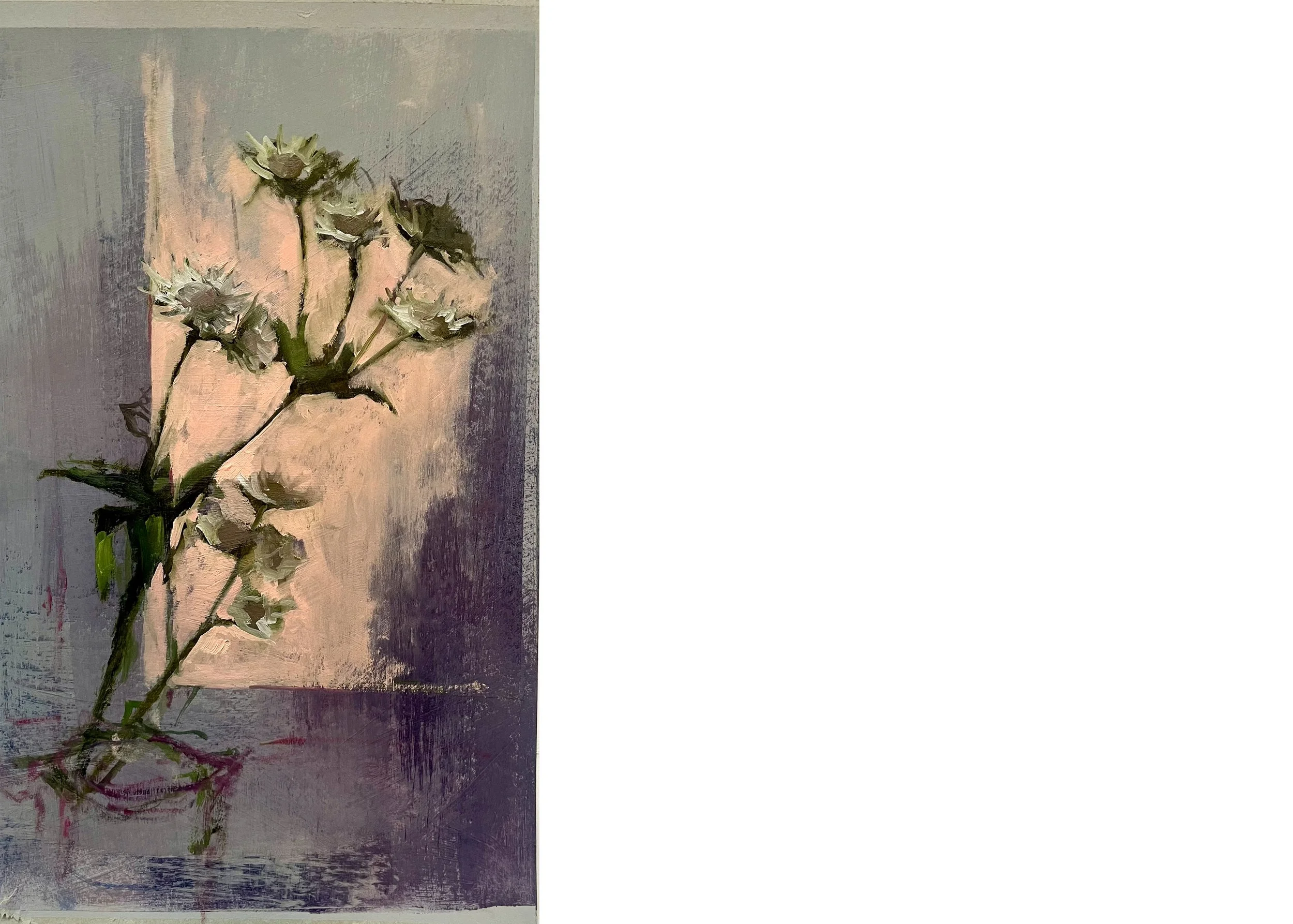 Flowers in the Light, Left, 2026, oil on paper, 46x 28cm