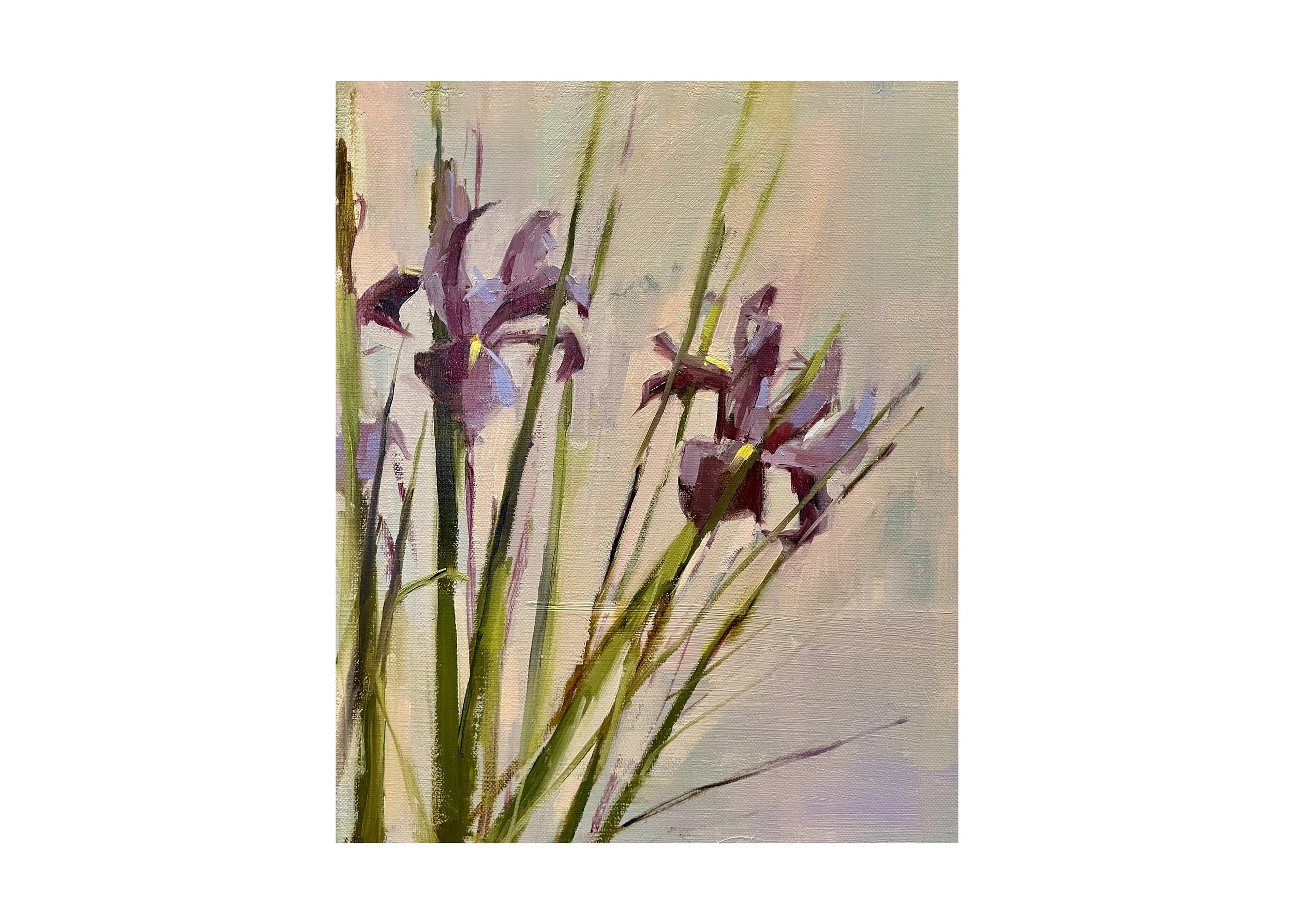 Upright Iris, Purple Blue, 2026, 12 x 10 inches