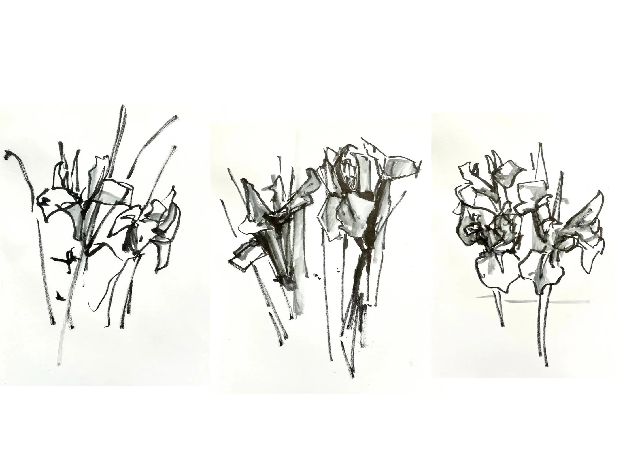 Three black and white sketches of flowers on white paper, each with different shapes and shading.