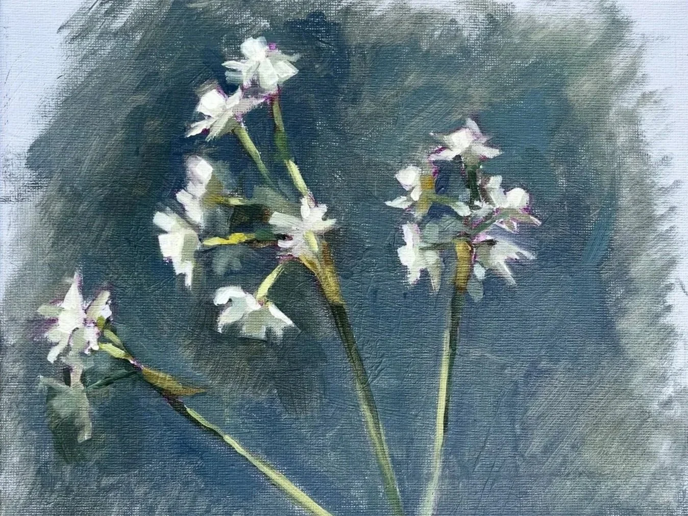 Perky Narcissi, 2026, 8 x10 inches