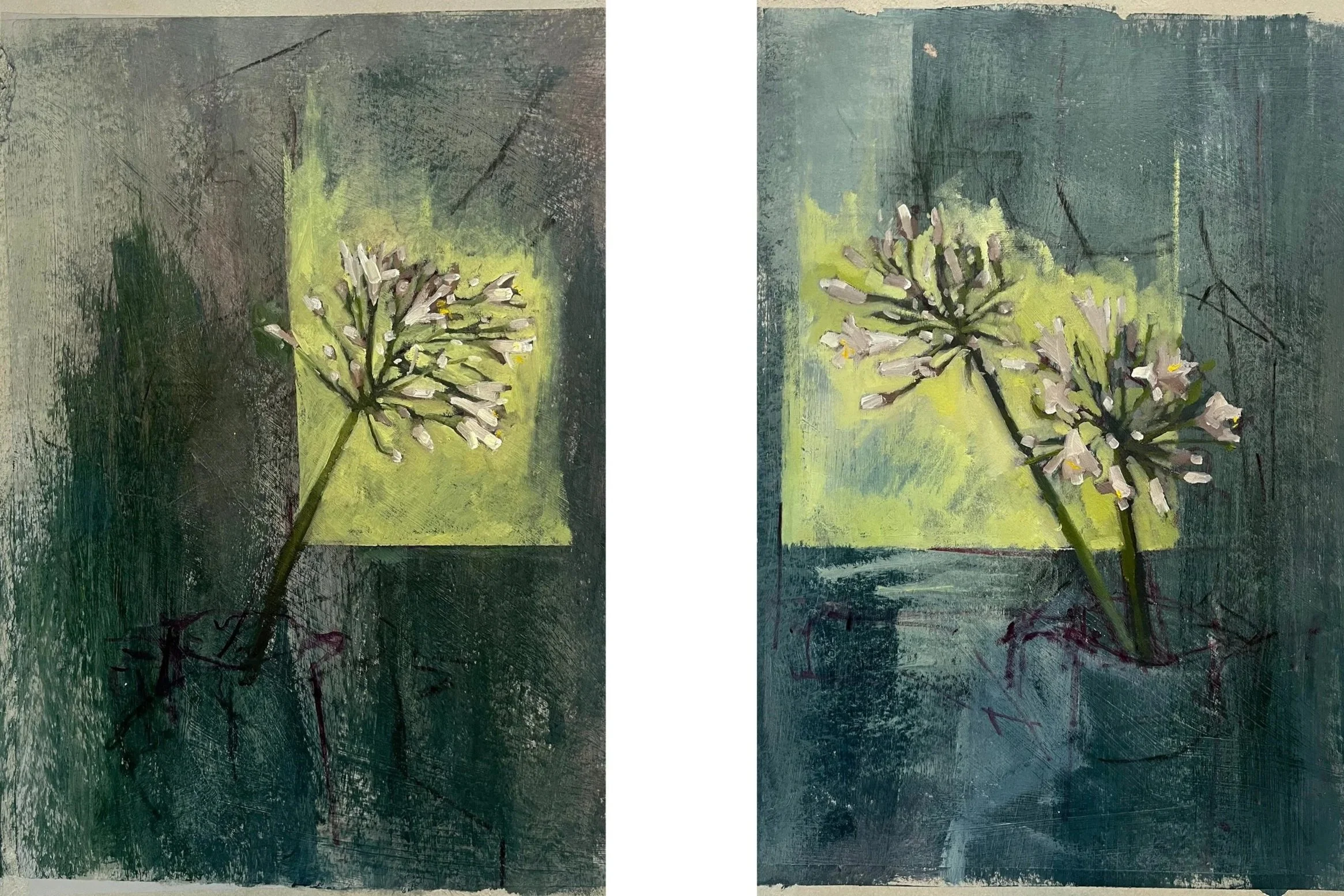 Agapanthus in the Light, Left, 2026, oil on paper, 49 x 31 cm 
Agapanthus in the Light, Right, 2026, oil on paper, 49 x 31 cm 
