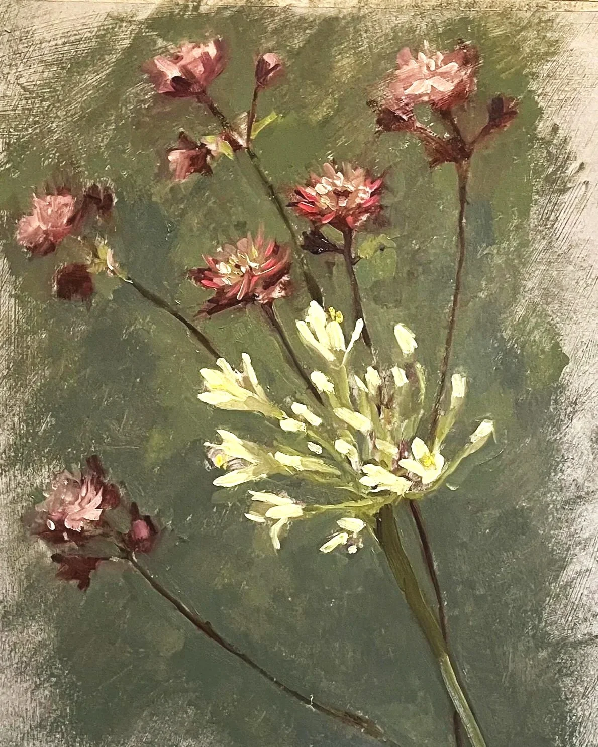 White Agapanthus & Astrantia, 2026, oil on paper, 35 x 26cm