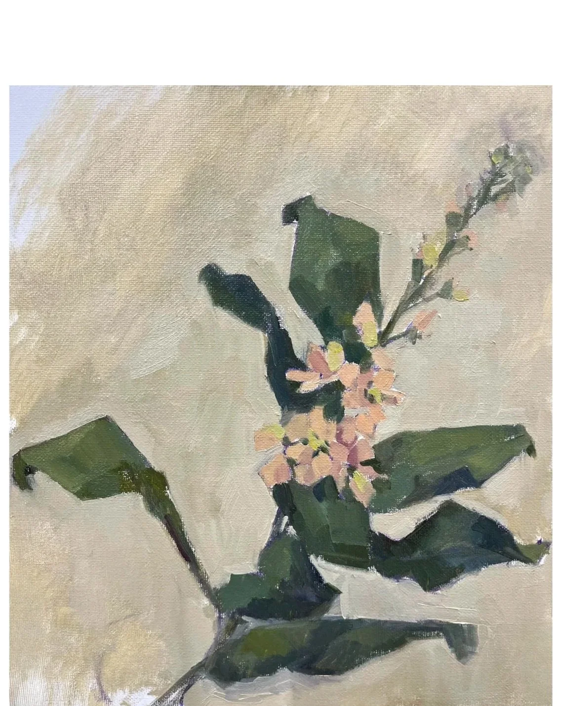 Leaning Stock, Apricot, 2026, 12 x 10 inches, £POA