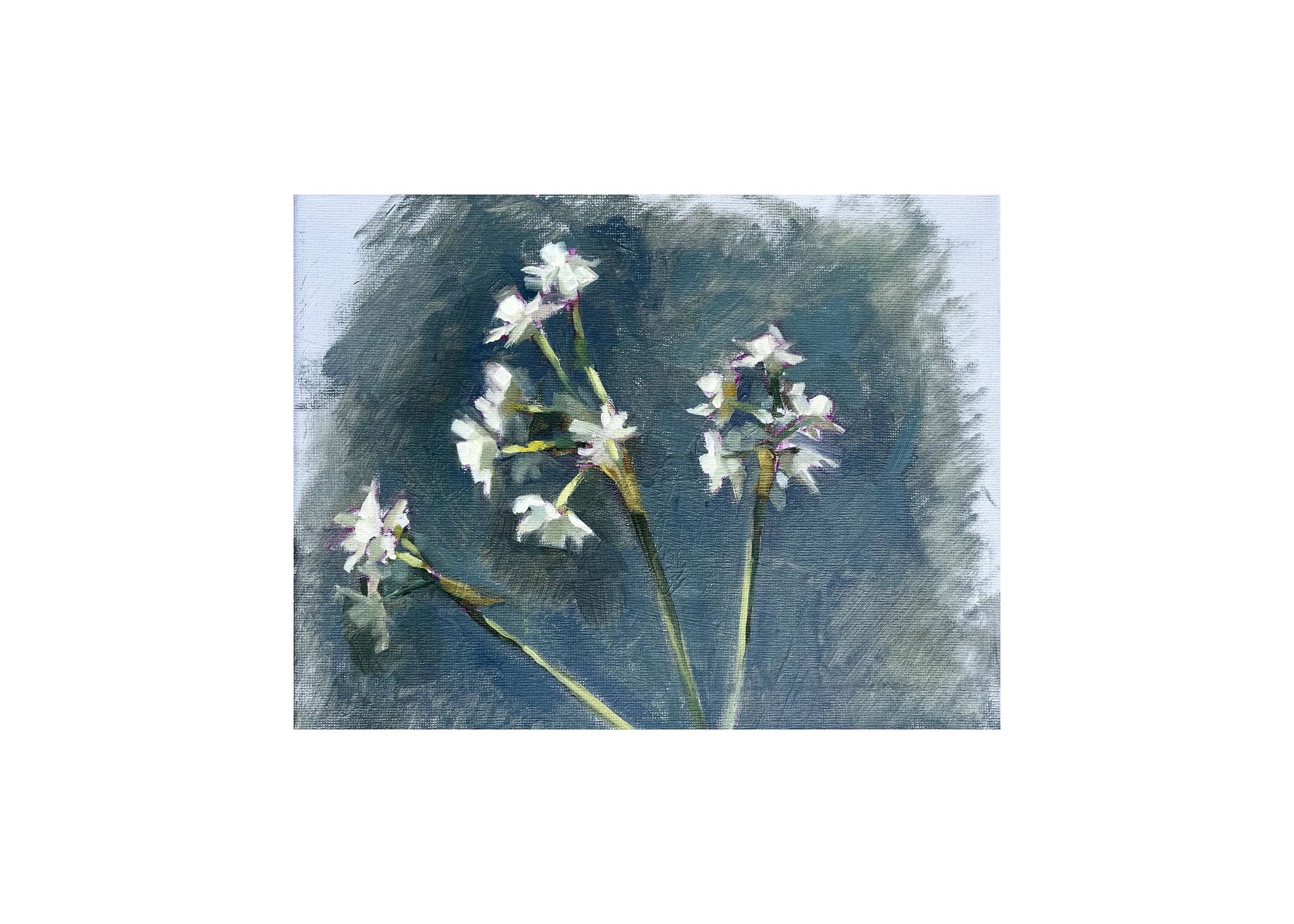 Perky Narcissi, 2026, 8 x 10 inches