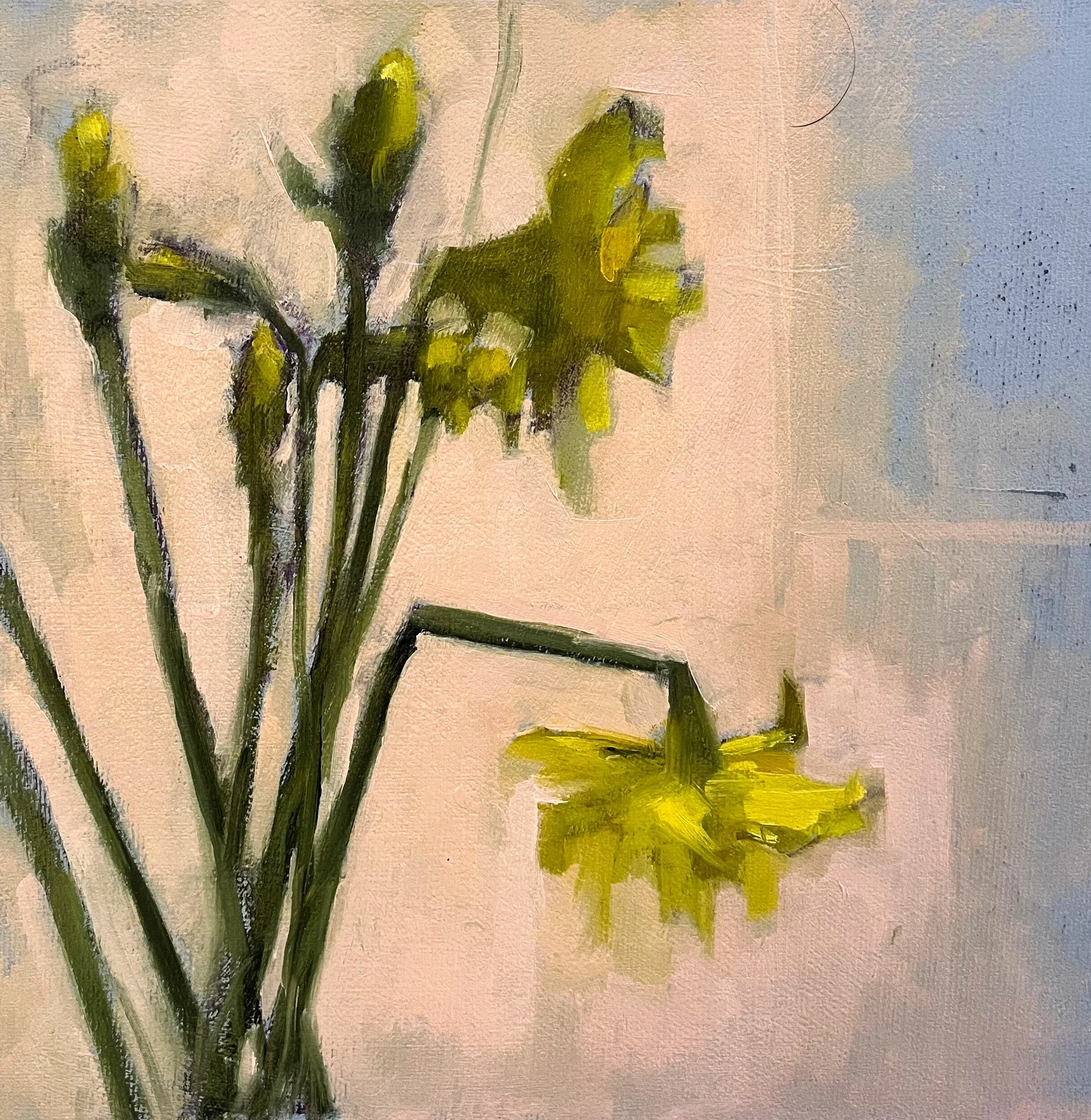 Droopy Daffodils, 2026, oil on board, 20x20cm