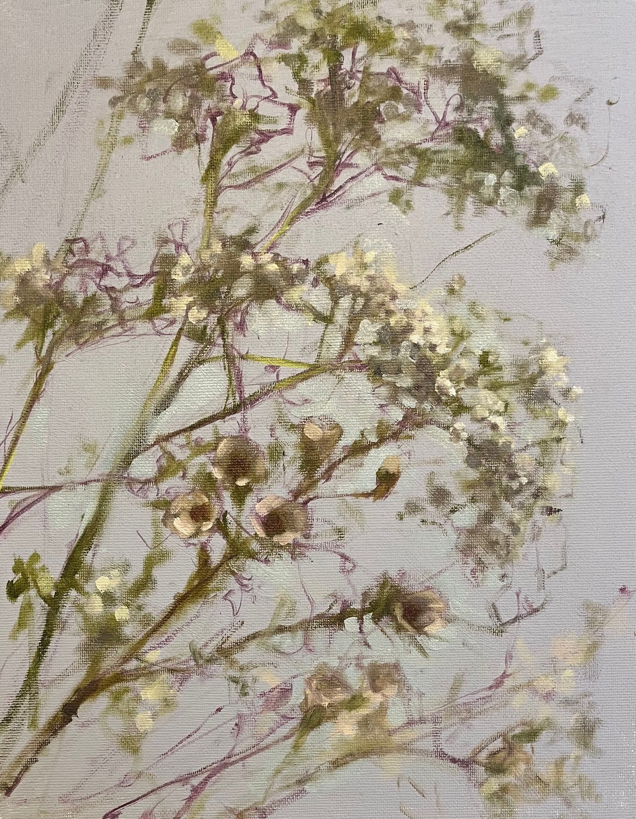 Leaning Gypsophilia , 2026, Oil on board, 25.6 x20.4cm