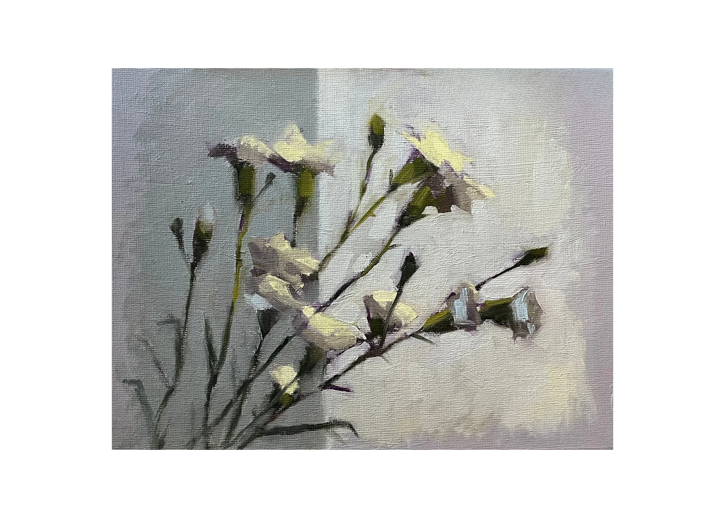 Daylit Carnations, Yellow, 2026, oil on canvas, 8 x 10 inches