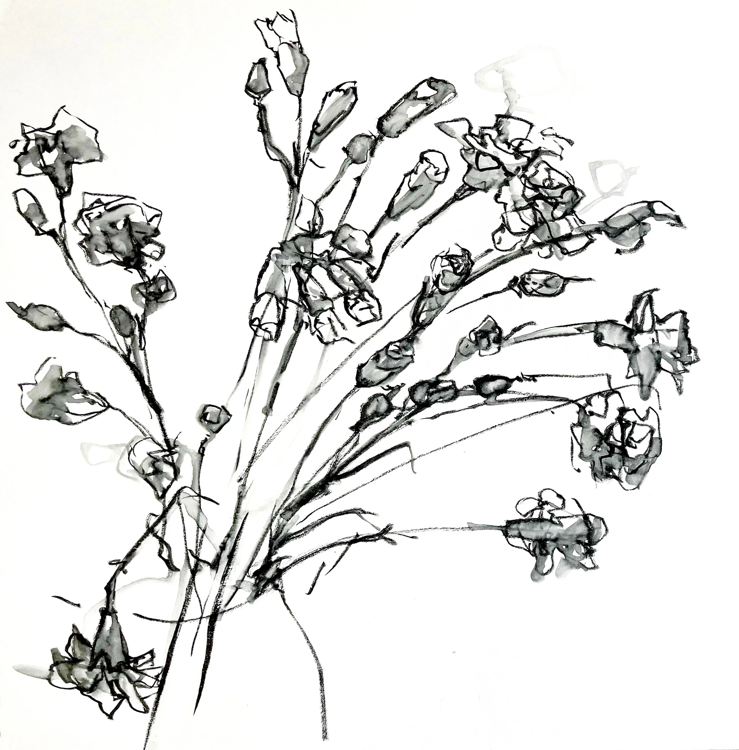 Black and white sketch of a bouquet of flowers with multiple stems and small blossoms.