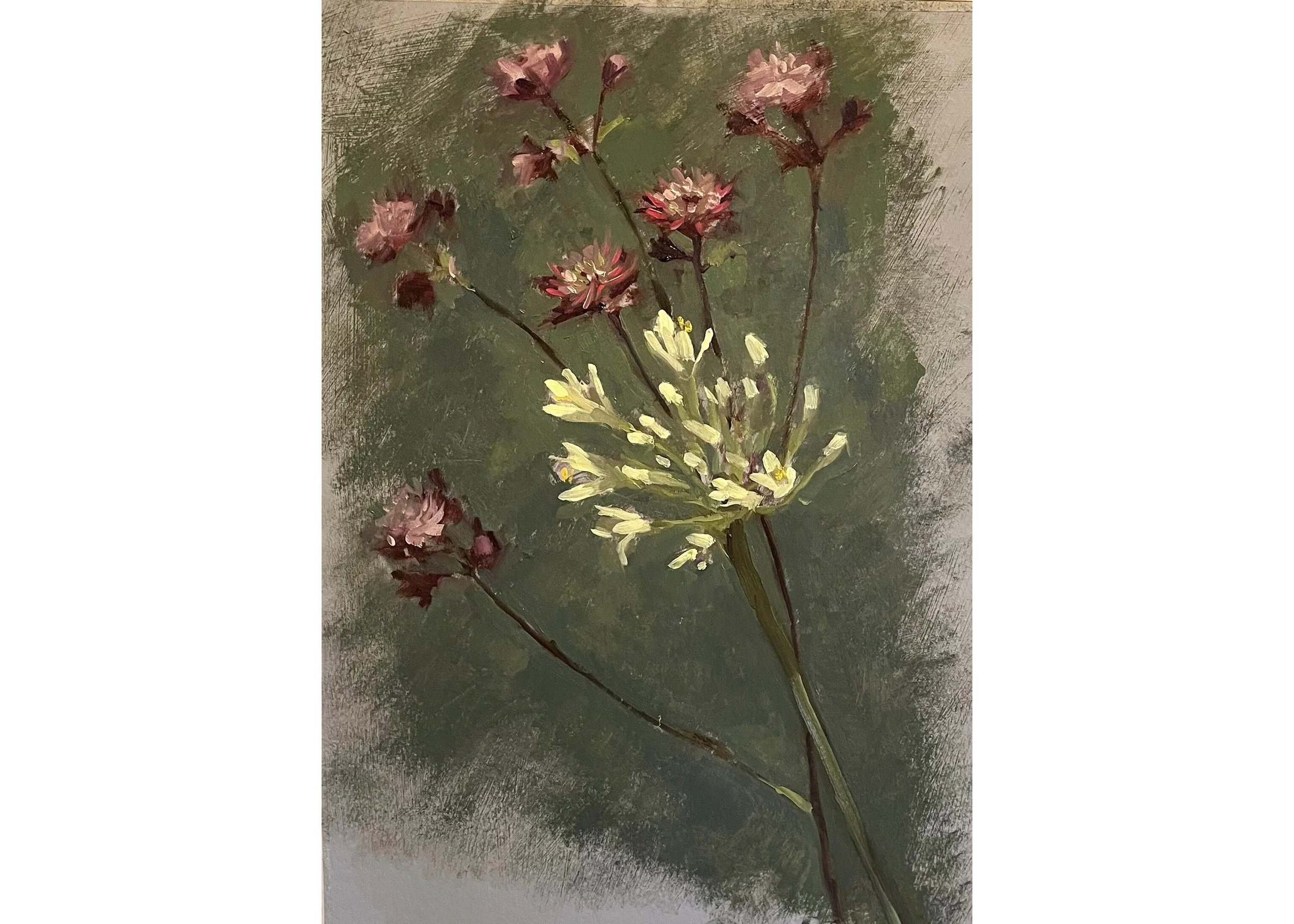 White Agapanthus & Astrantia, 2026, oil on paper, 35 x 26cm