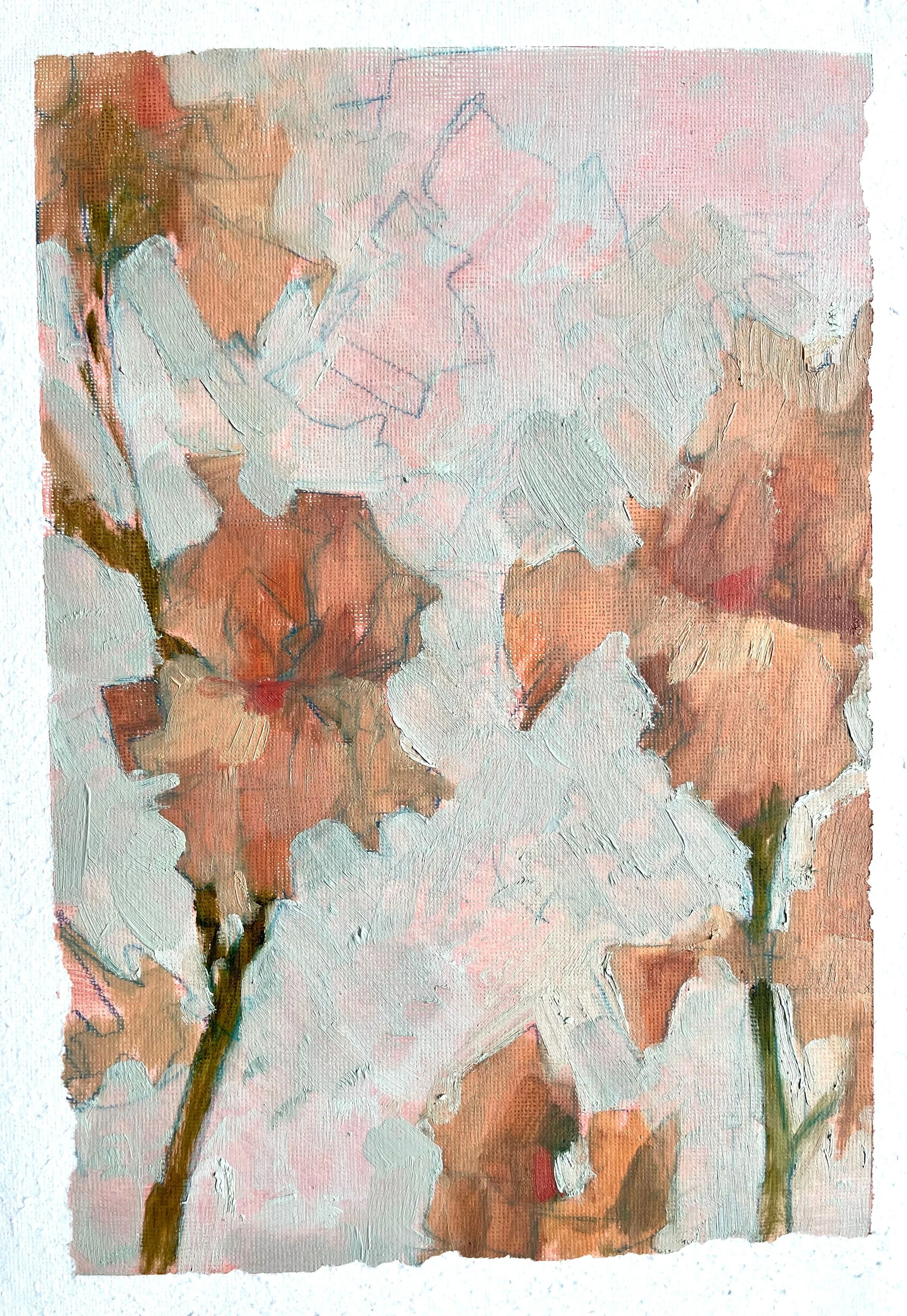 Peachy Irises , 2026, mixed media on paper
