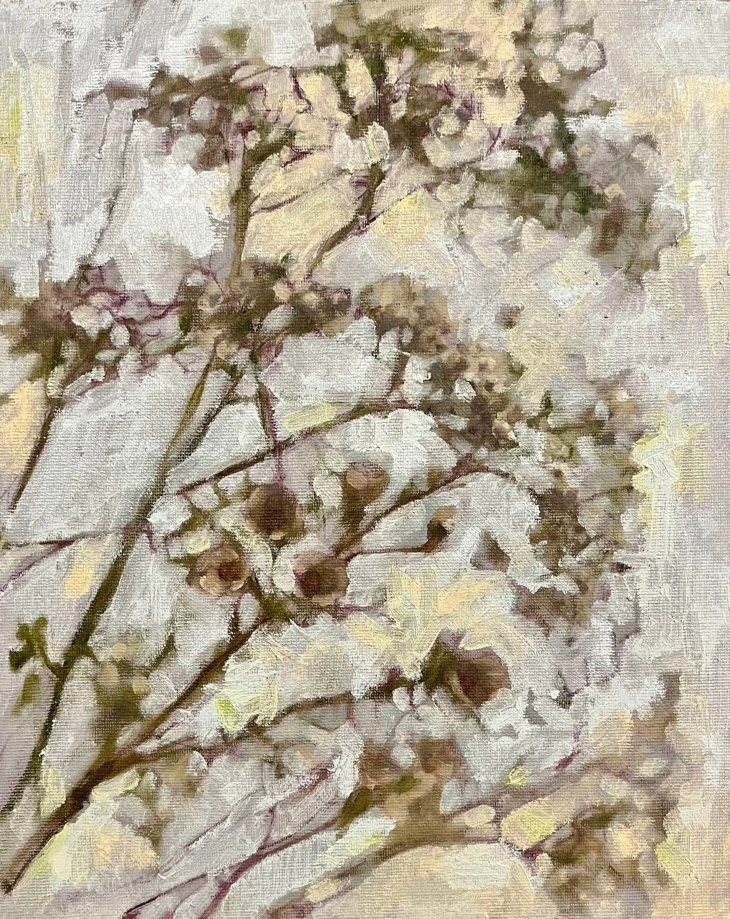 Leaning Gypsophila , 2026, Oil on board, 25.6 x20.4cm £275
