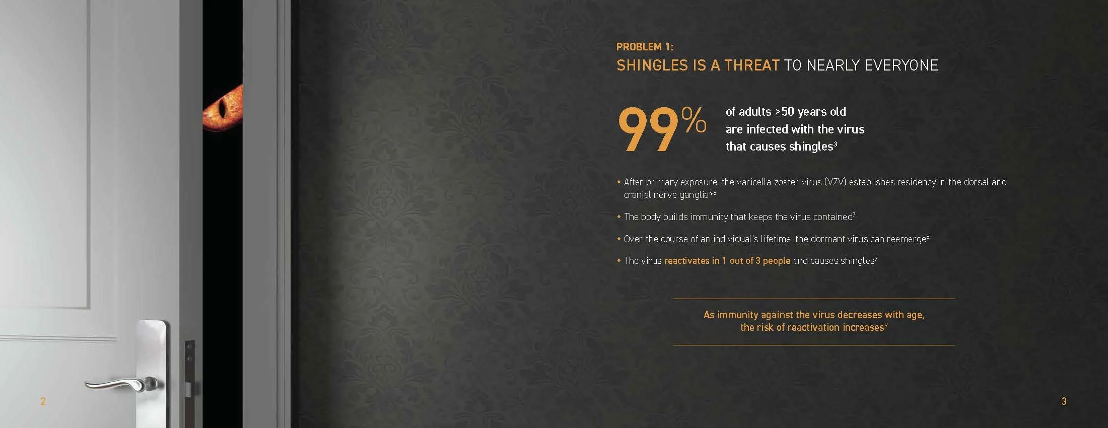 Benjamin Birdie Portfolio 2026 1_Page_39.jpg