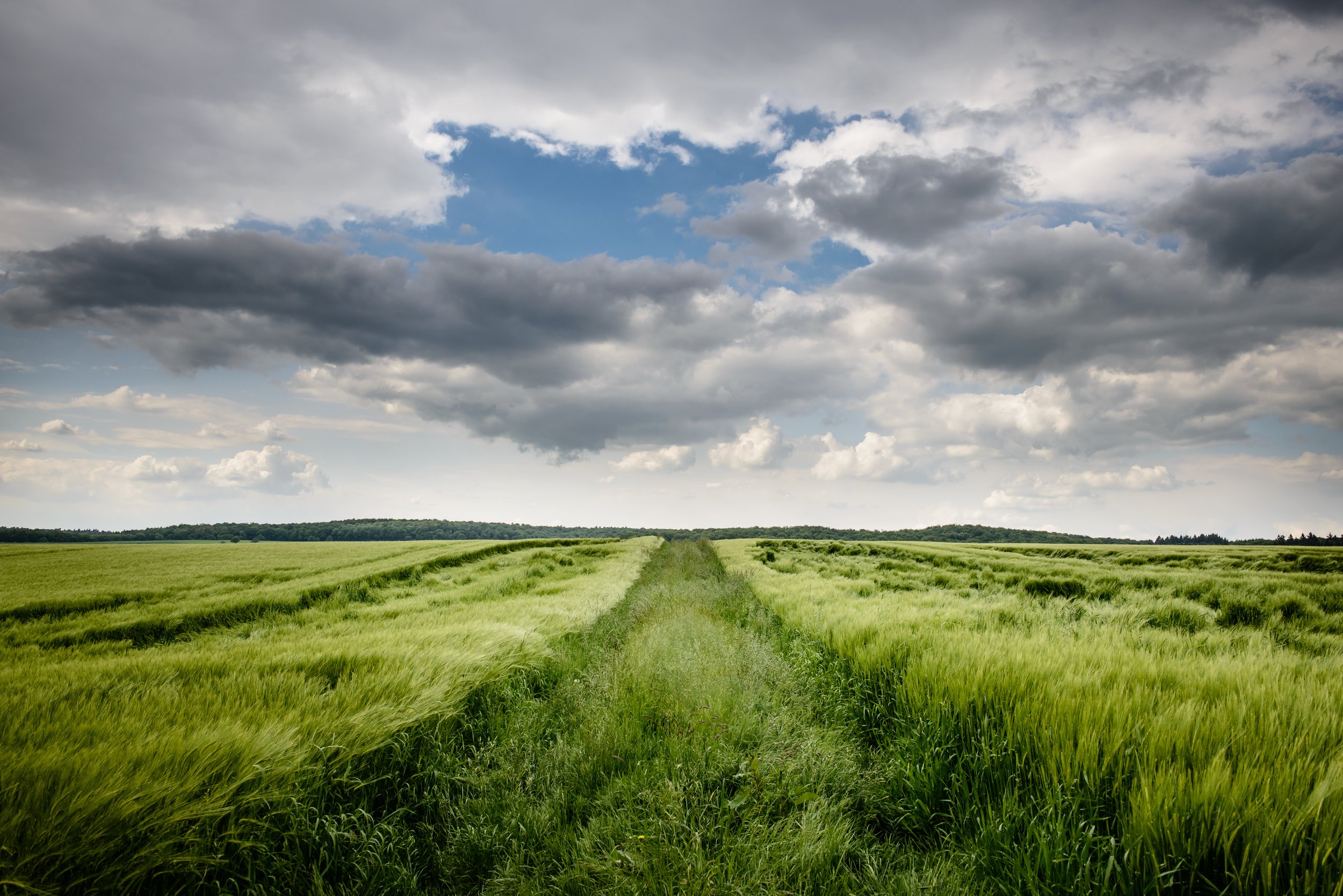 003 - 1305_LandschaftStein_41727.jpg