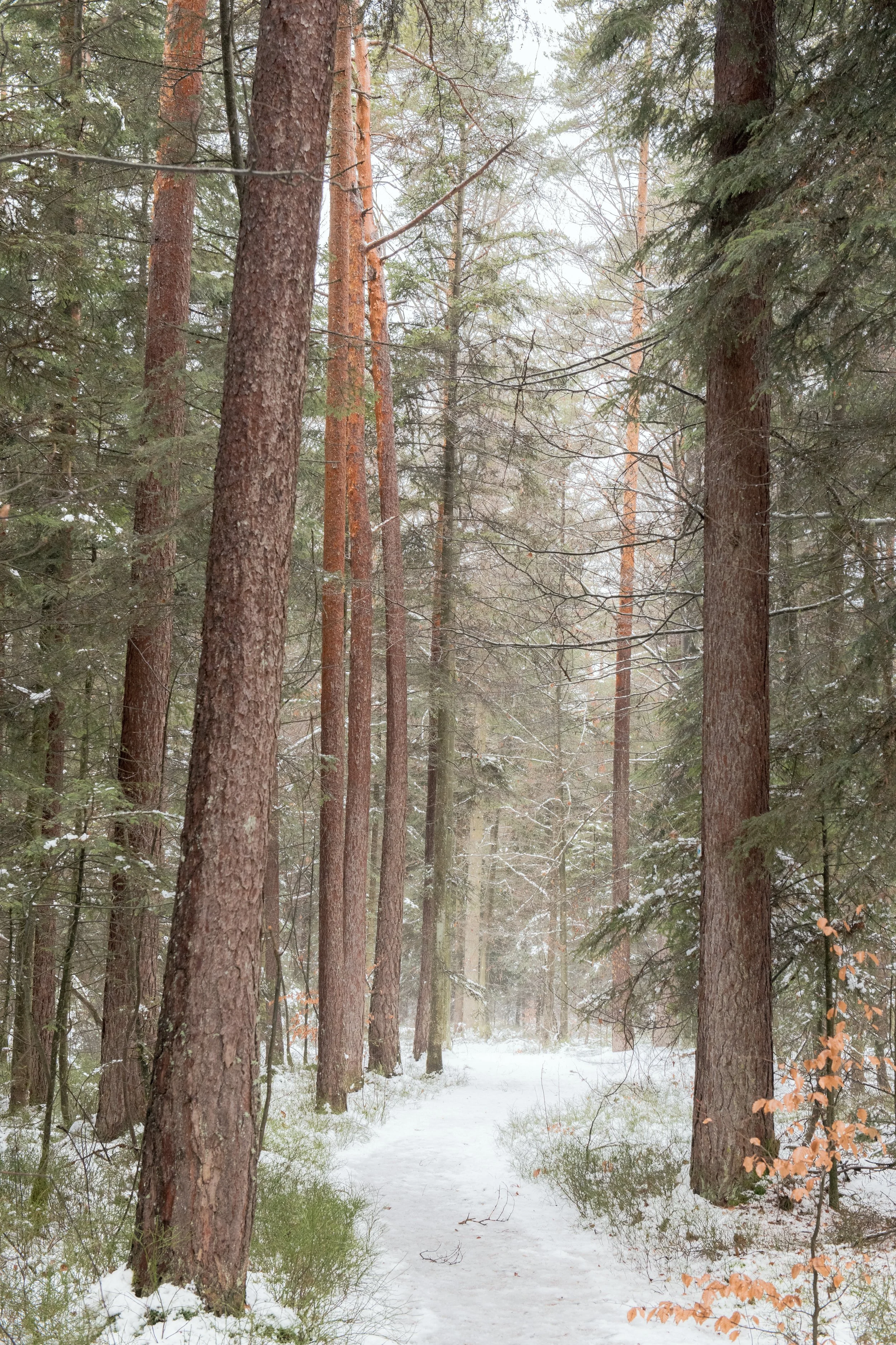 013 - 2601_TauwetterSchömberg_111522.jpg