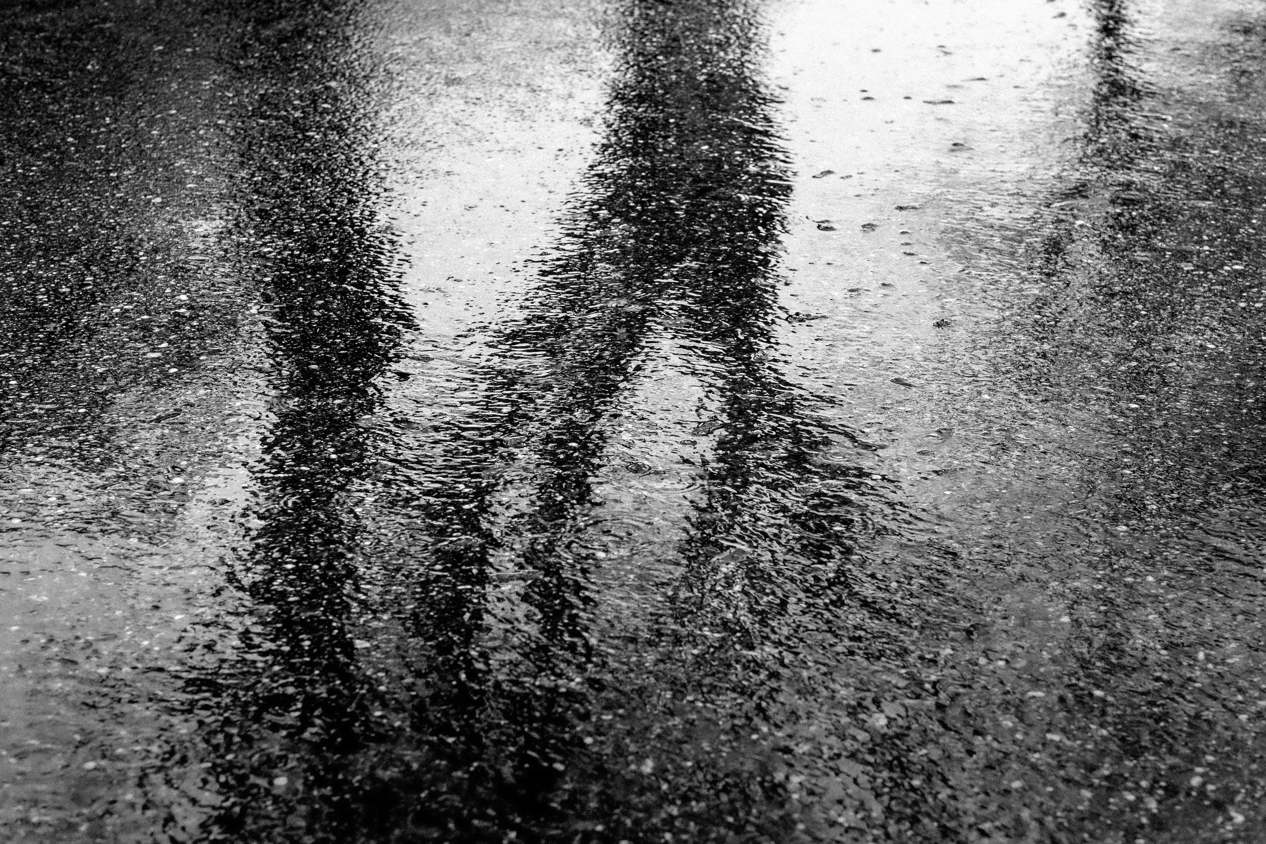 004 - 2101_Spaziergänge_83667.jpg