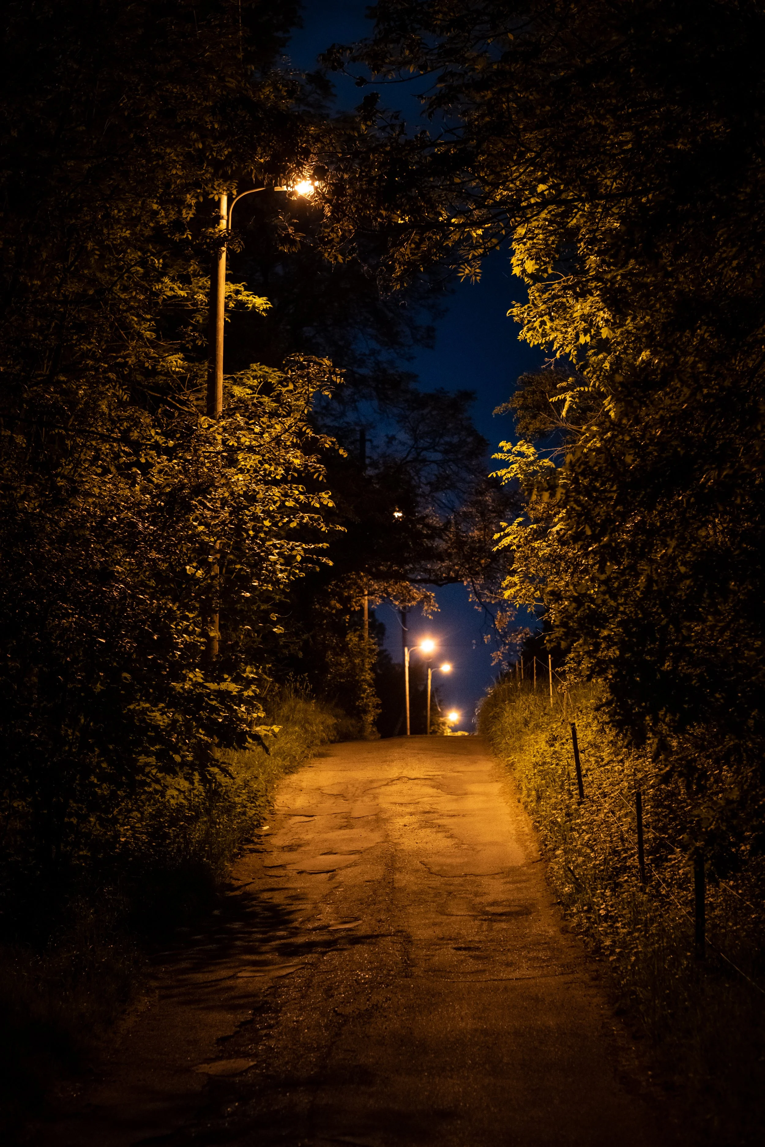 002 - 2205_Spaziergänge_88294.jpg