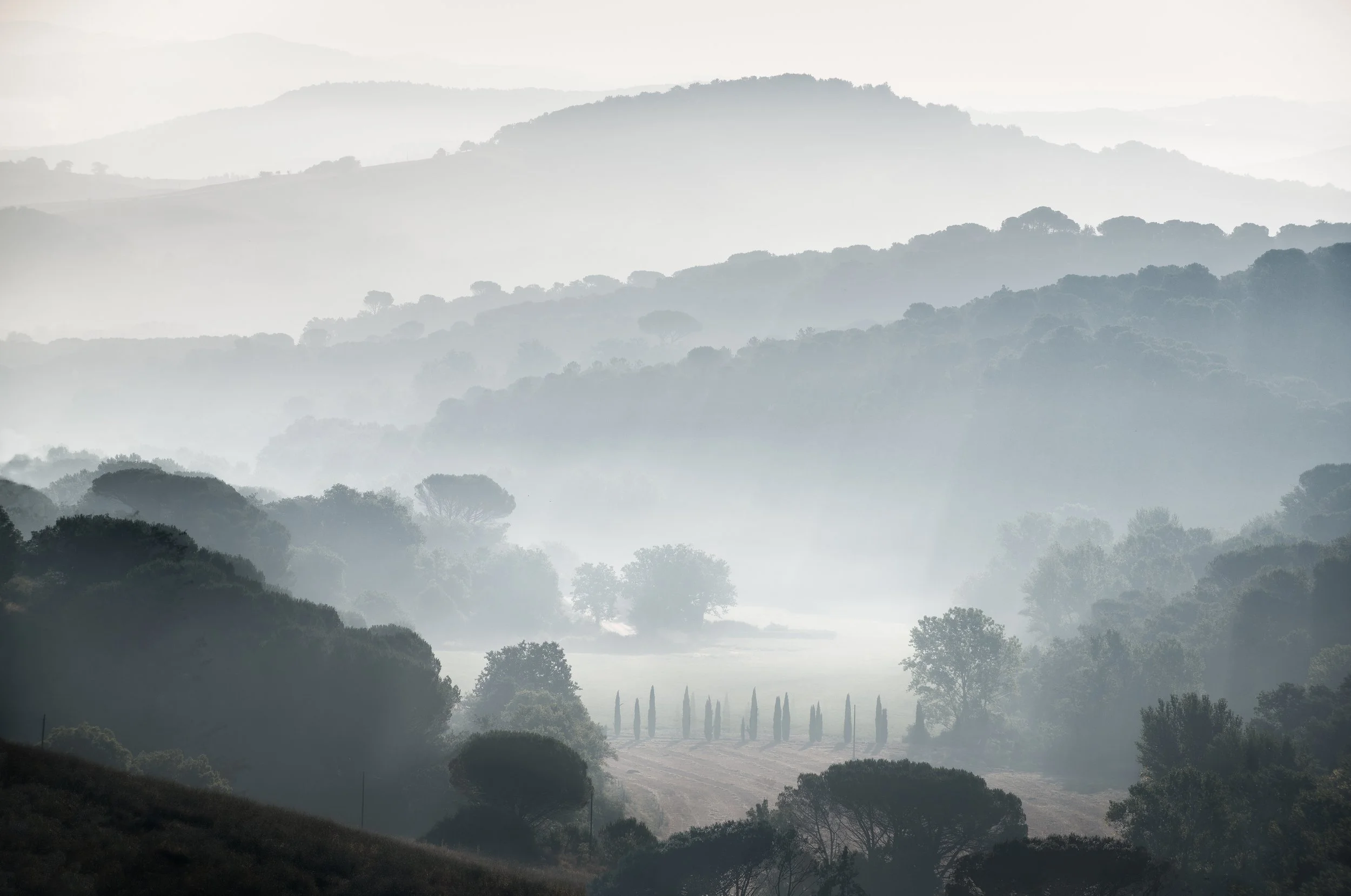 010 - 1907_Bibbona_78322-edit.jpg