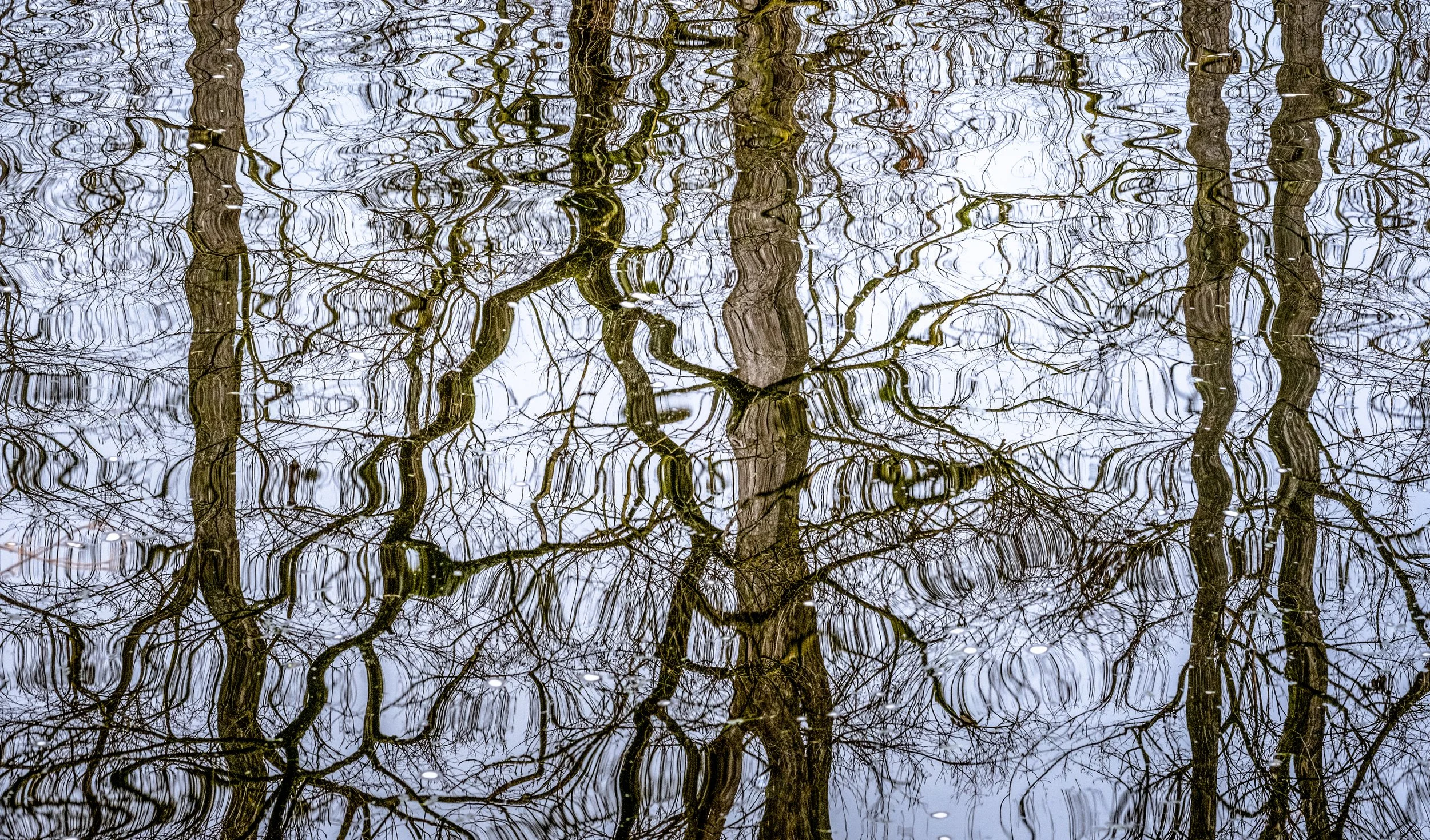 003 - 2012_Spaziergänge_83416-edit.jpg