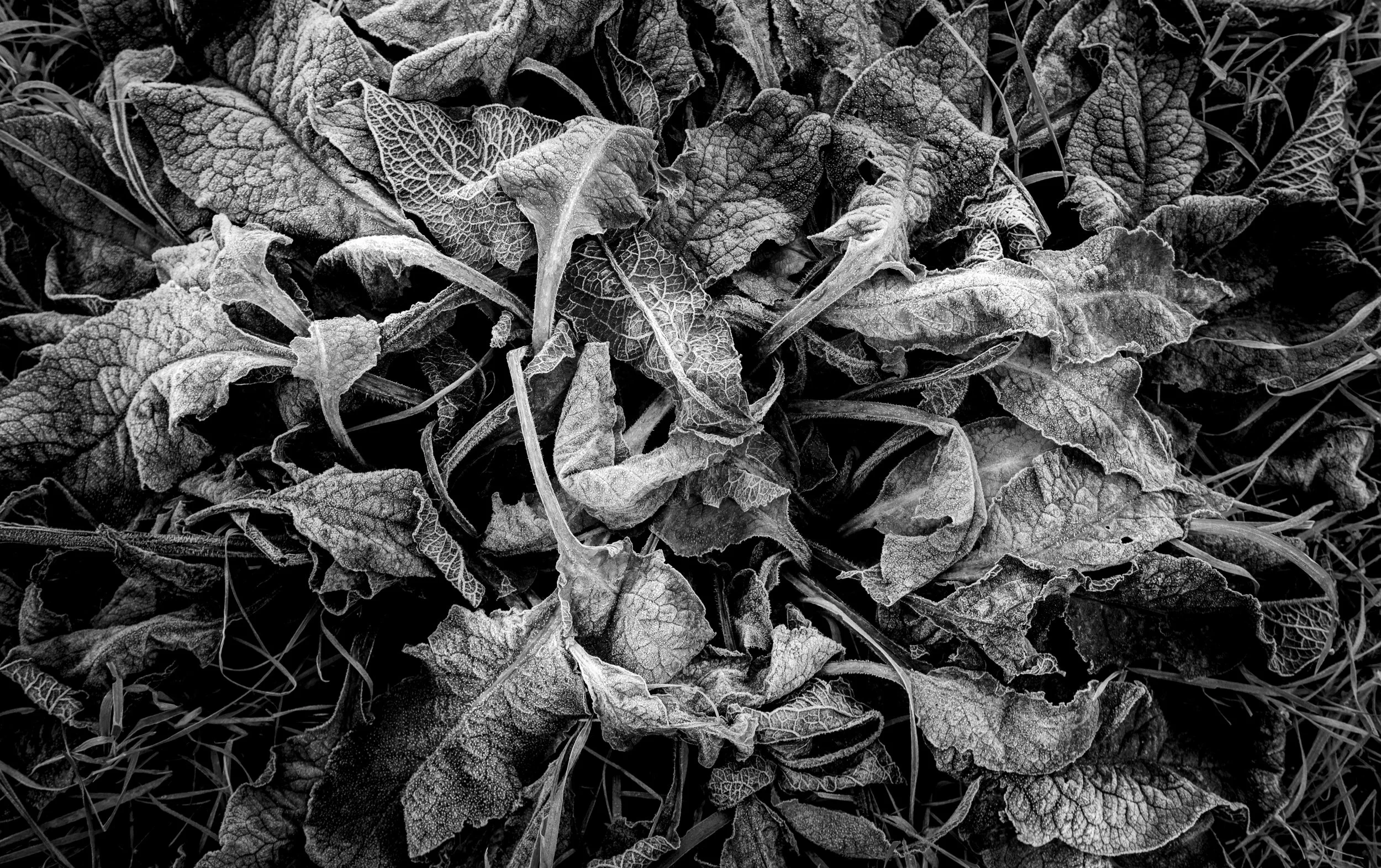 002 - 2012_Spaziergänge_83368.jpg