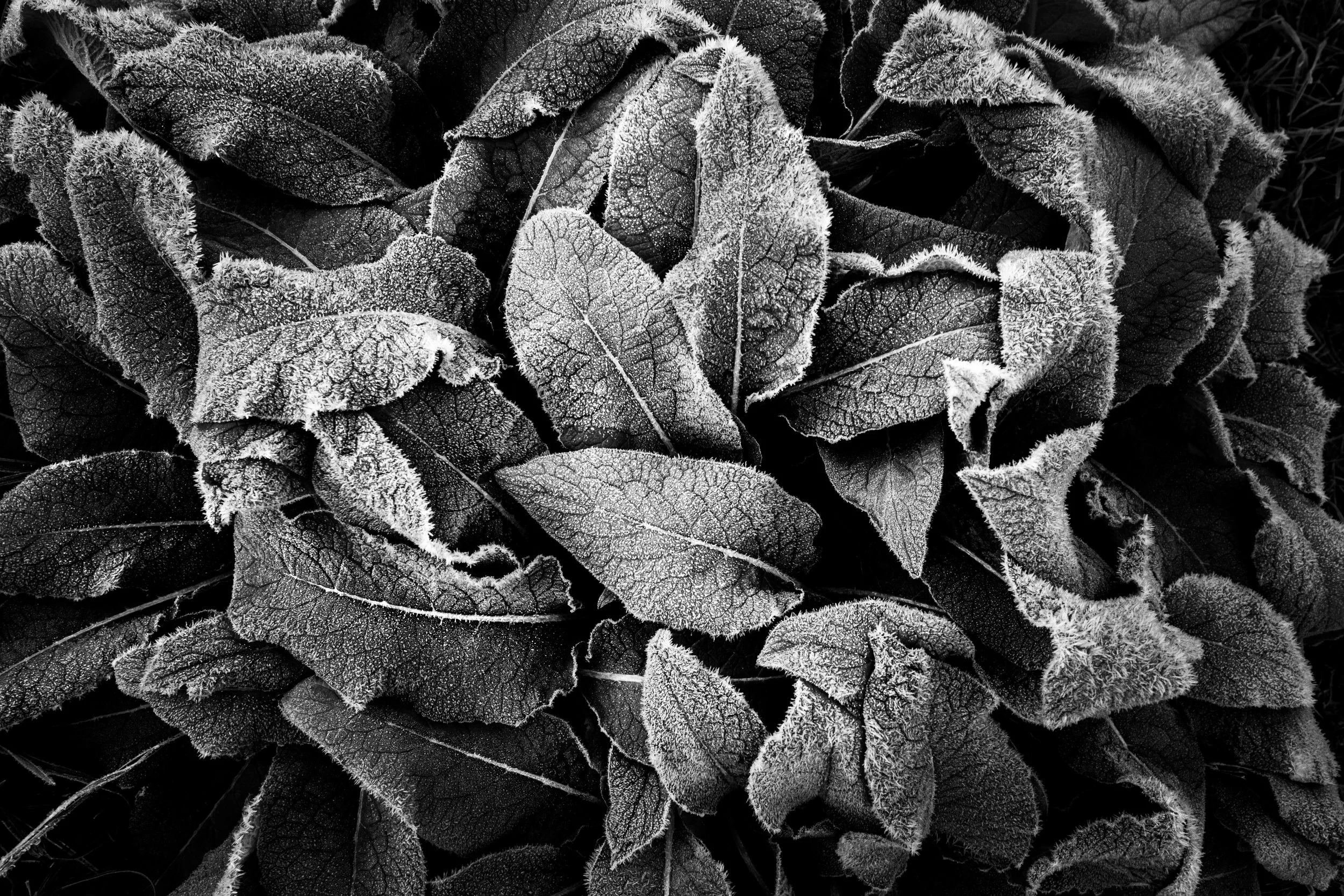 003 - 2212_Spaziergänge_91023.jpg